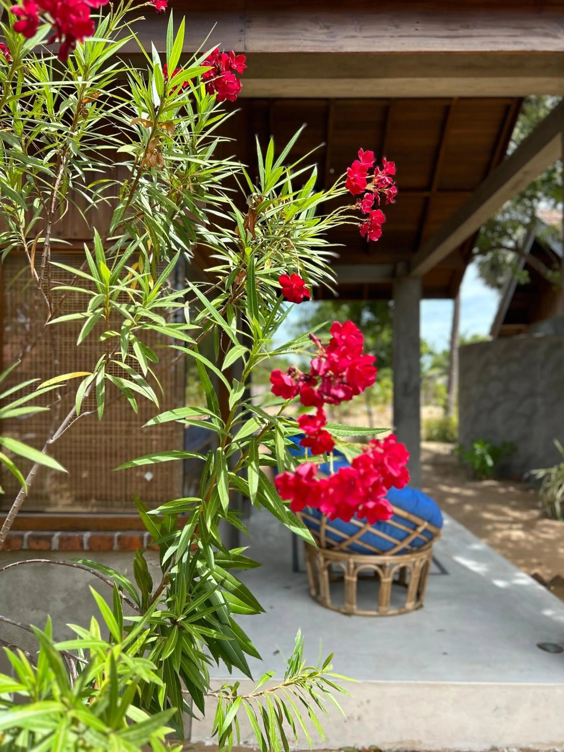 Patio in Arasi Resort