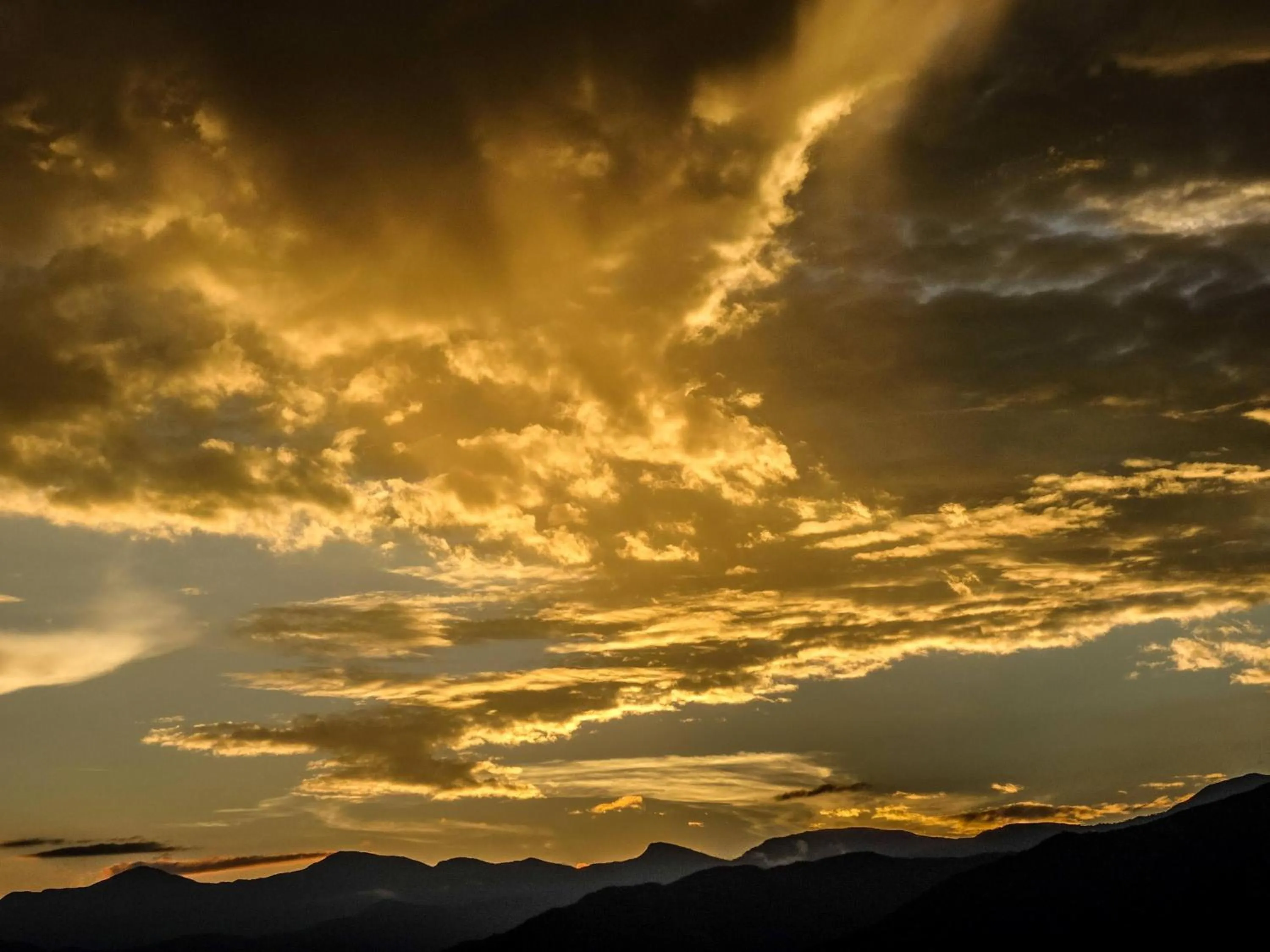 Natural landscape in El Paraiso - B&B Finca San Vicente