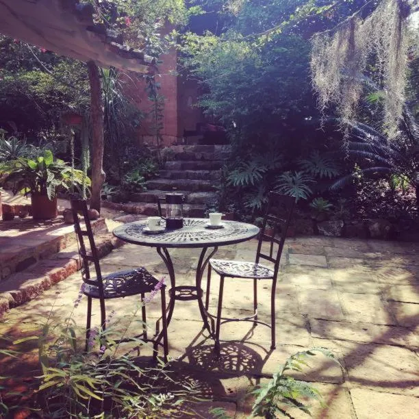 Patio in El Paraiso - B&B Finca San Vicente