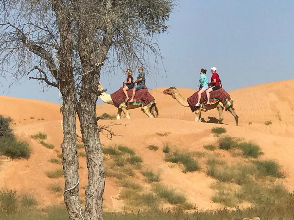 The Dunes Camping & Safari RAK