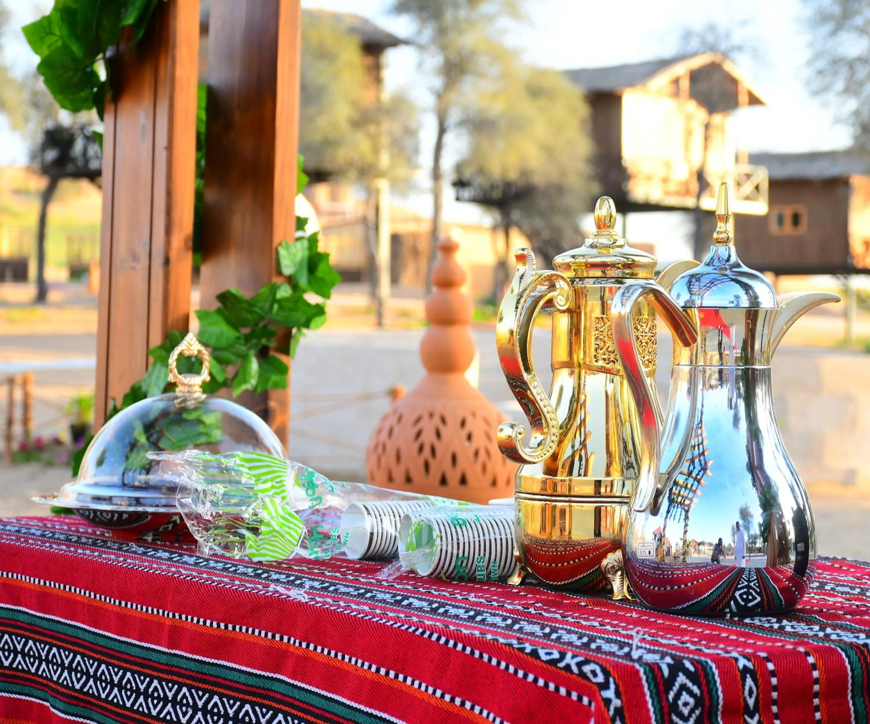 The Dunes Camping & Safari RAK