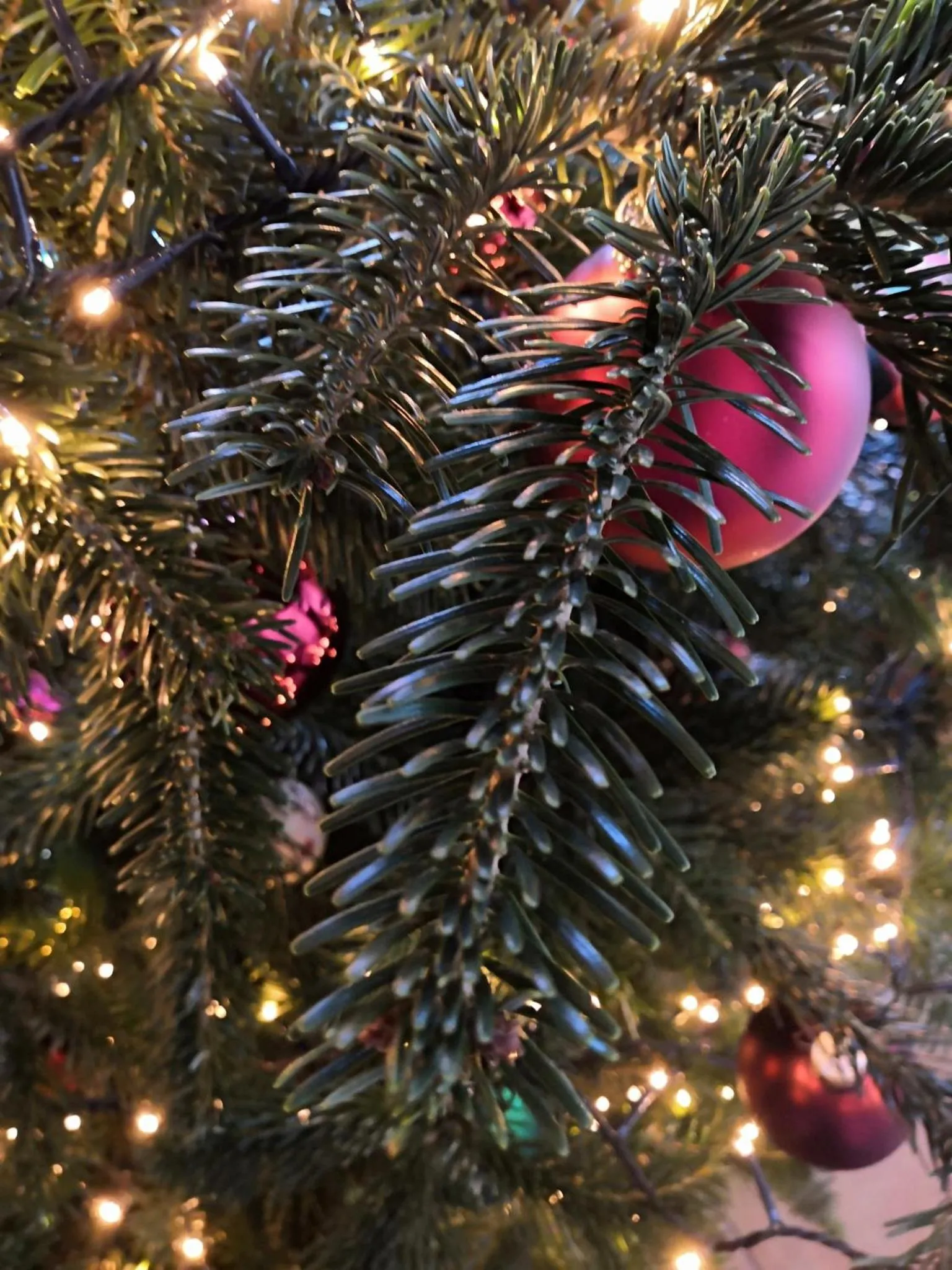 Other in Ampervilla Hotel