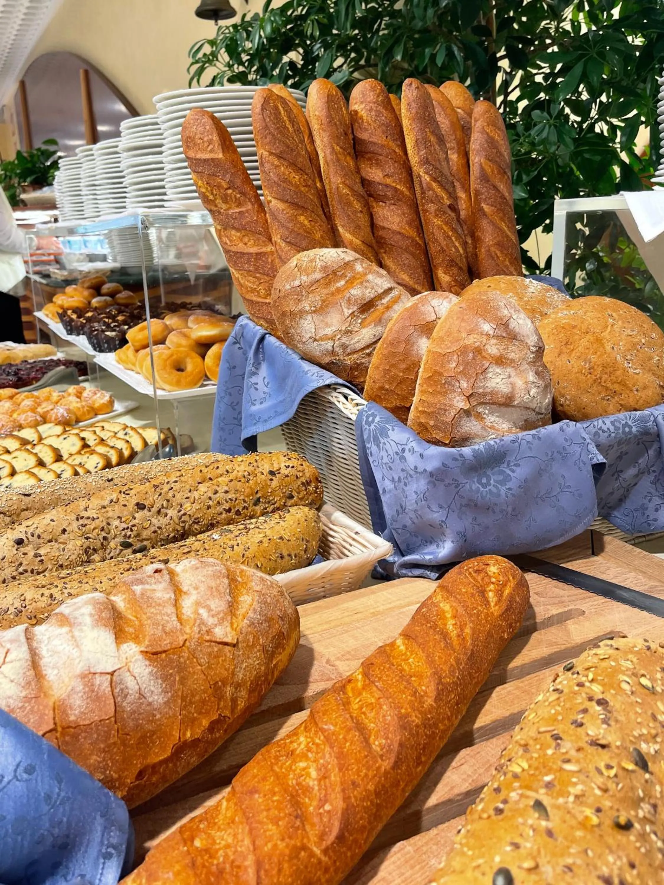 Food and drinks in Aparthotel Holiday