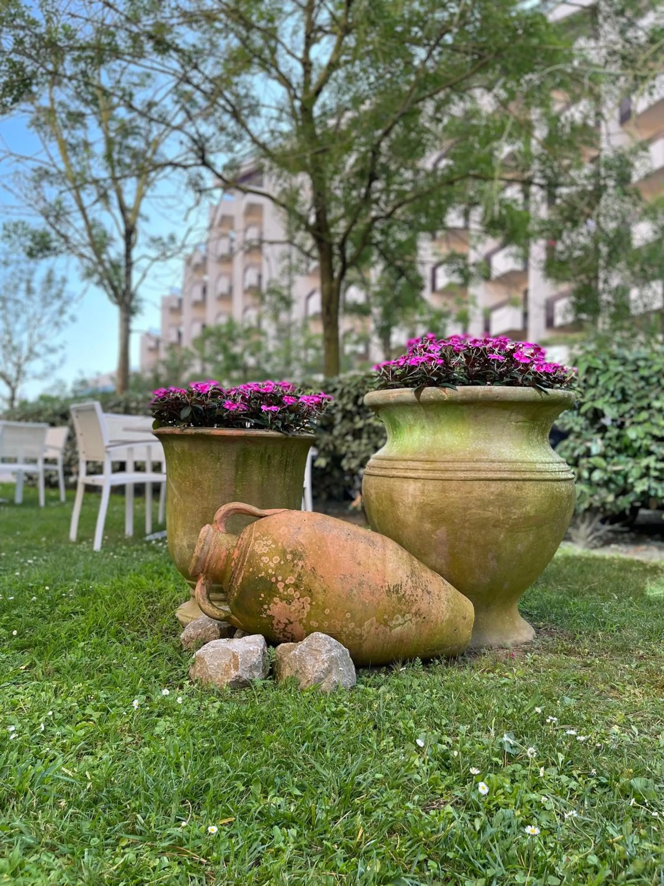 Garden in Aparthotel Holiday