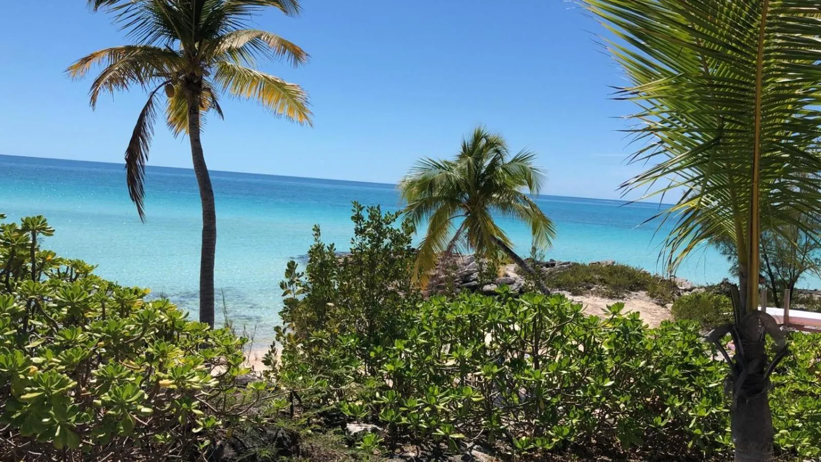 The Sunset Cove and Rainbow Room