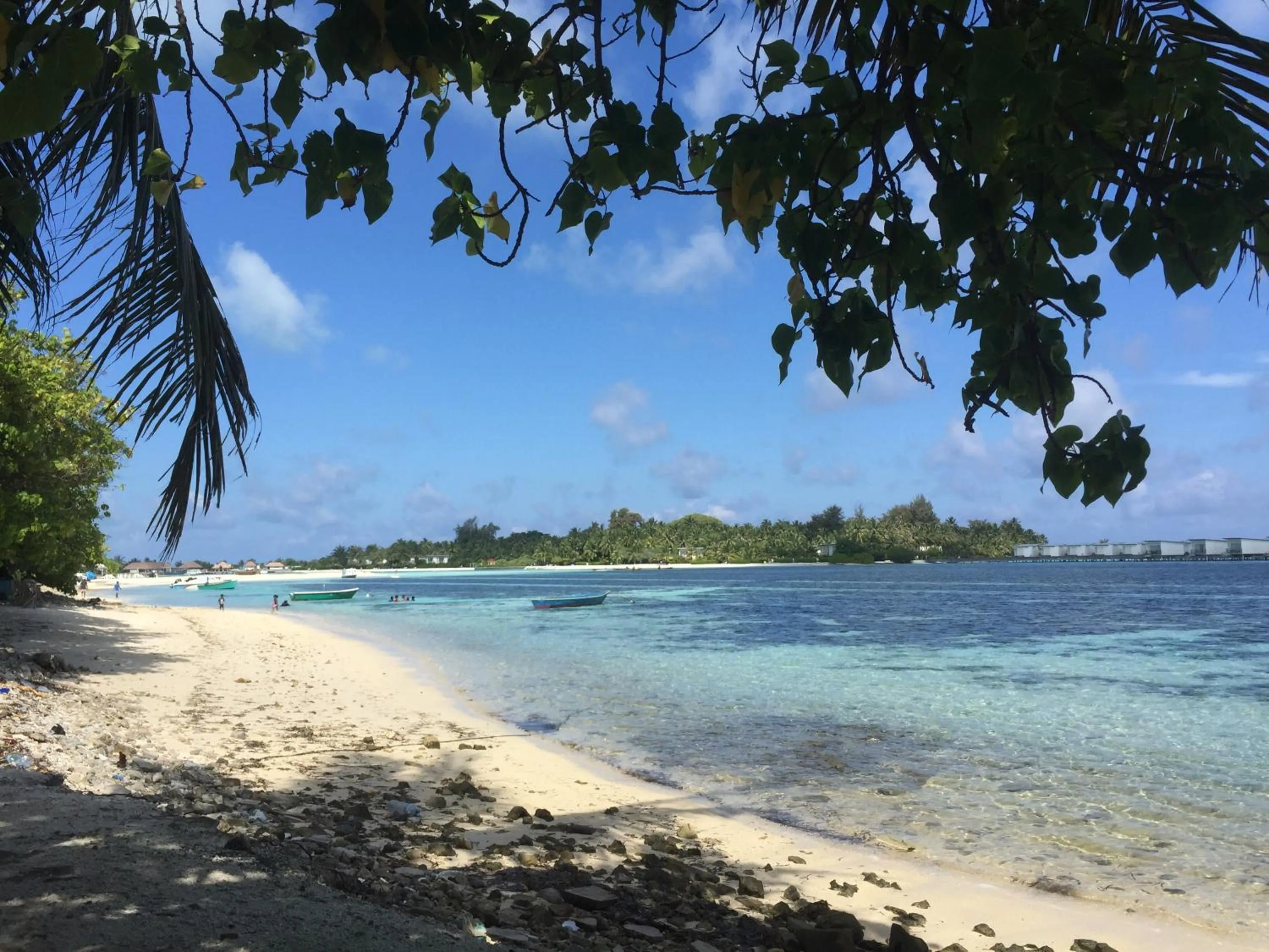 Natural landscape in Ocean Way Guraidhoo