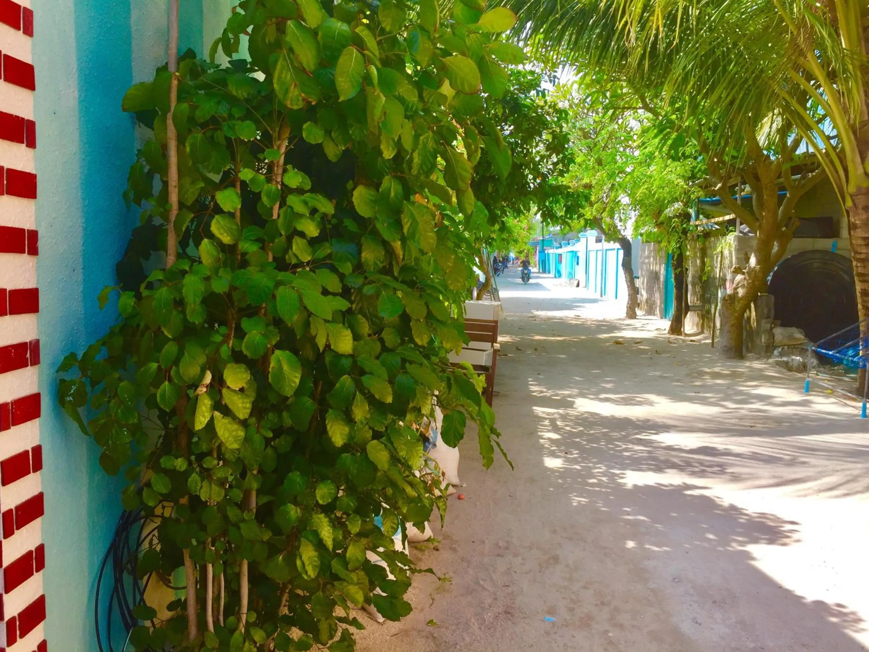 Neighbourhood in Ocean Way Guraidhoo