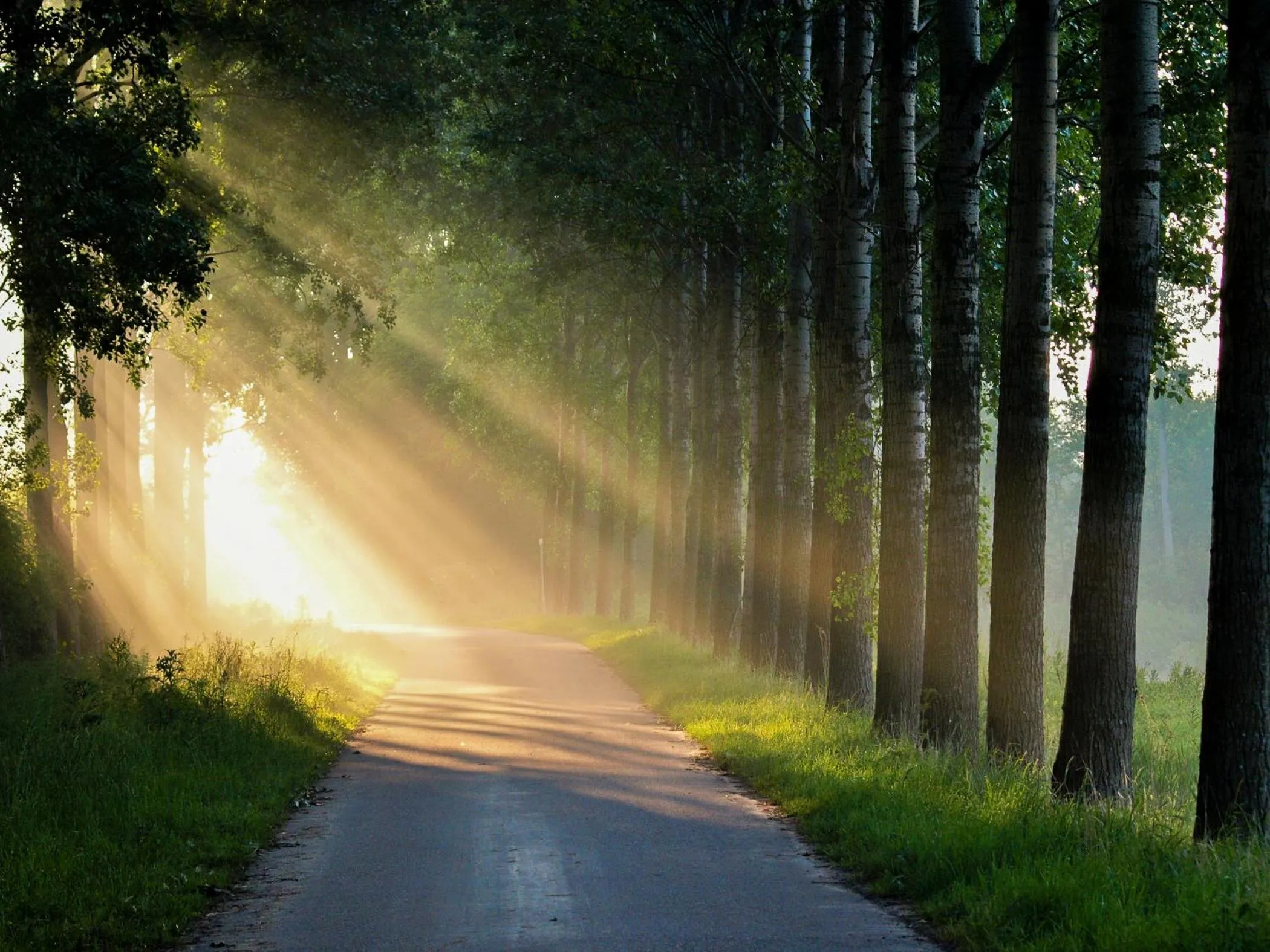 Natural landscape in Bed & Breakfast De Schuur Inn