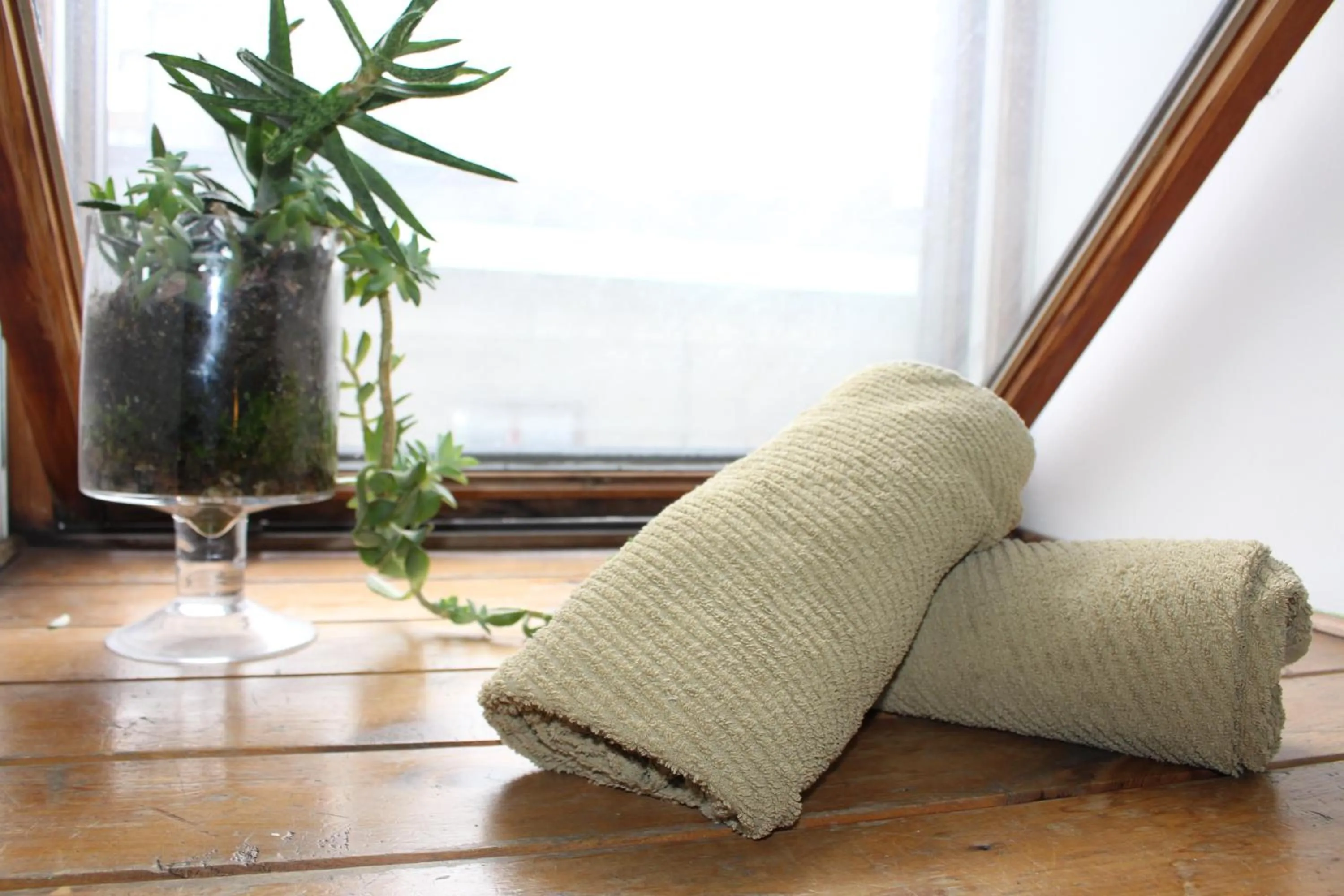 towels in Auberge Alternative