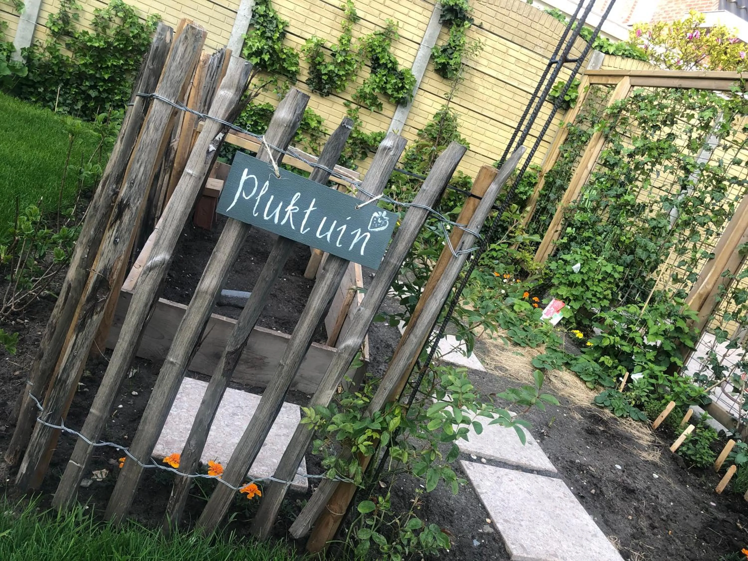 Garden in B&B Bij tante Teun