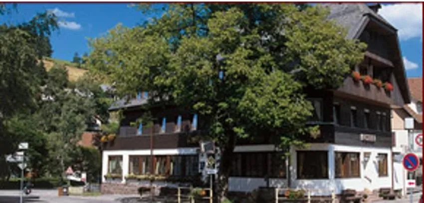 Day in Gasthof Adler