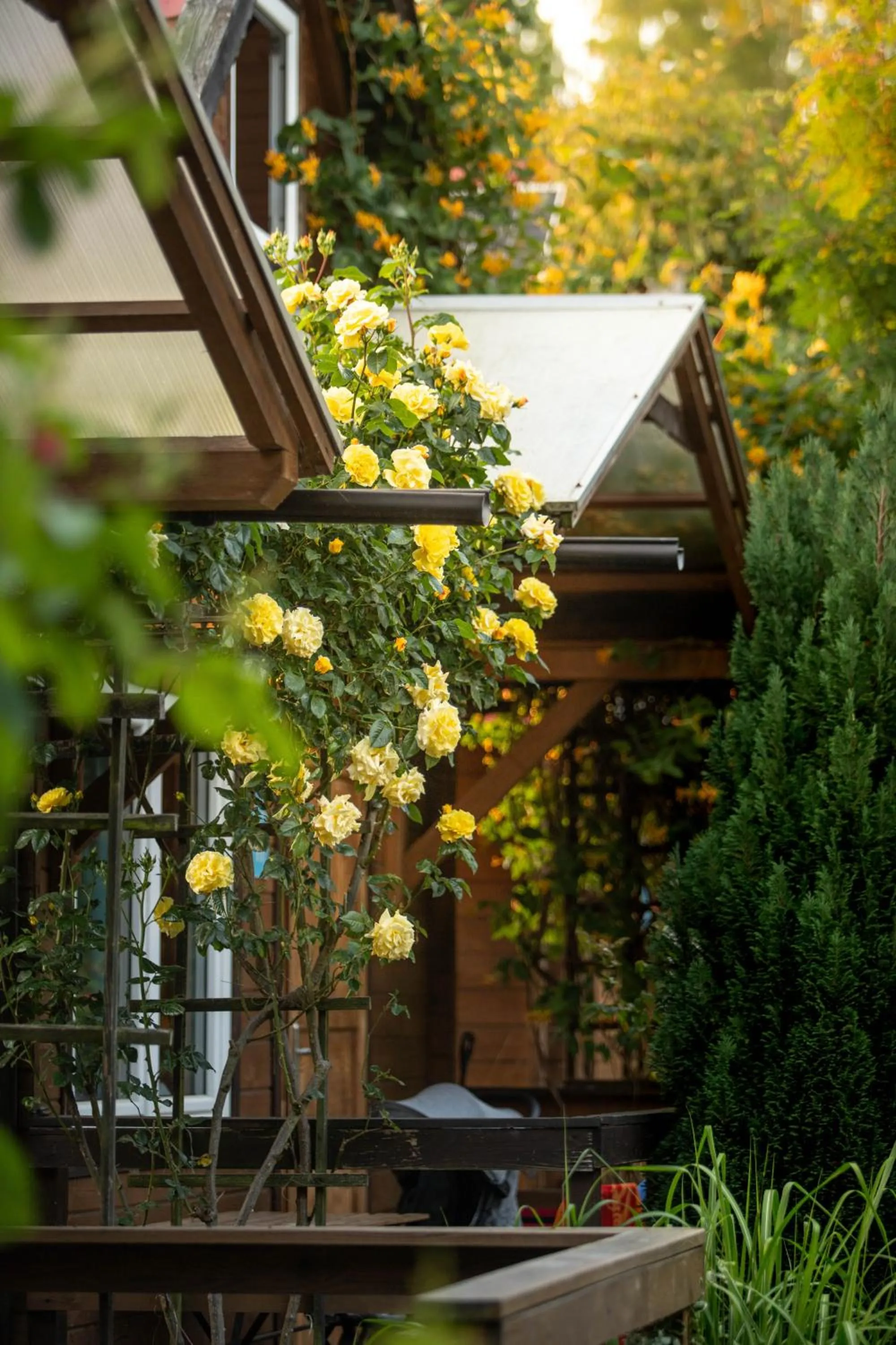 Pod Cyprysami - surf & family resort