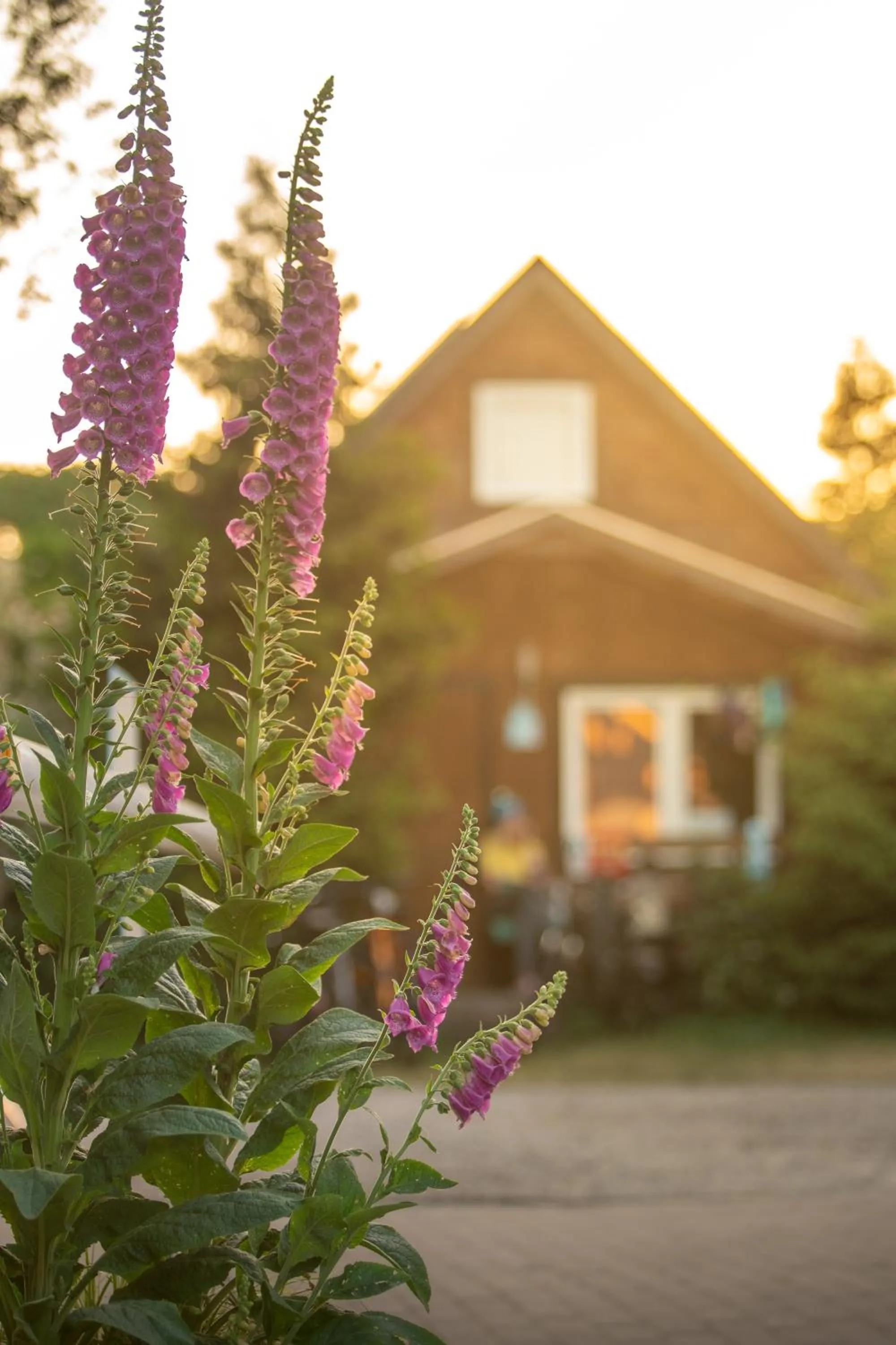 Pod Cyprysami - surf & family resort