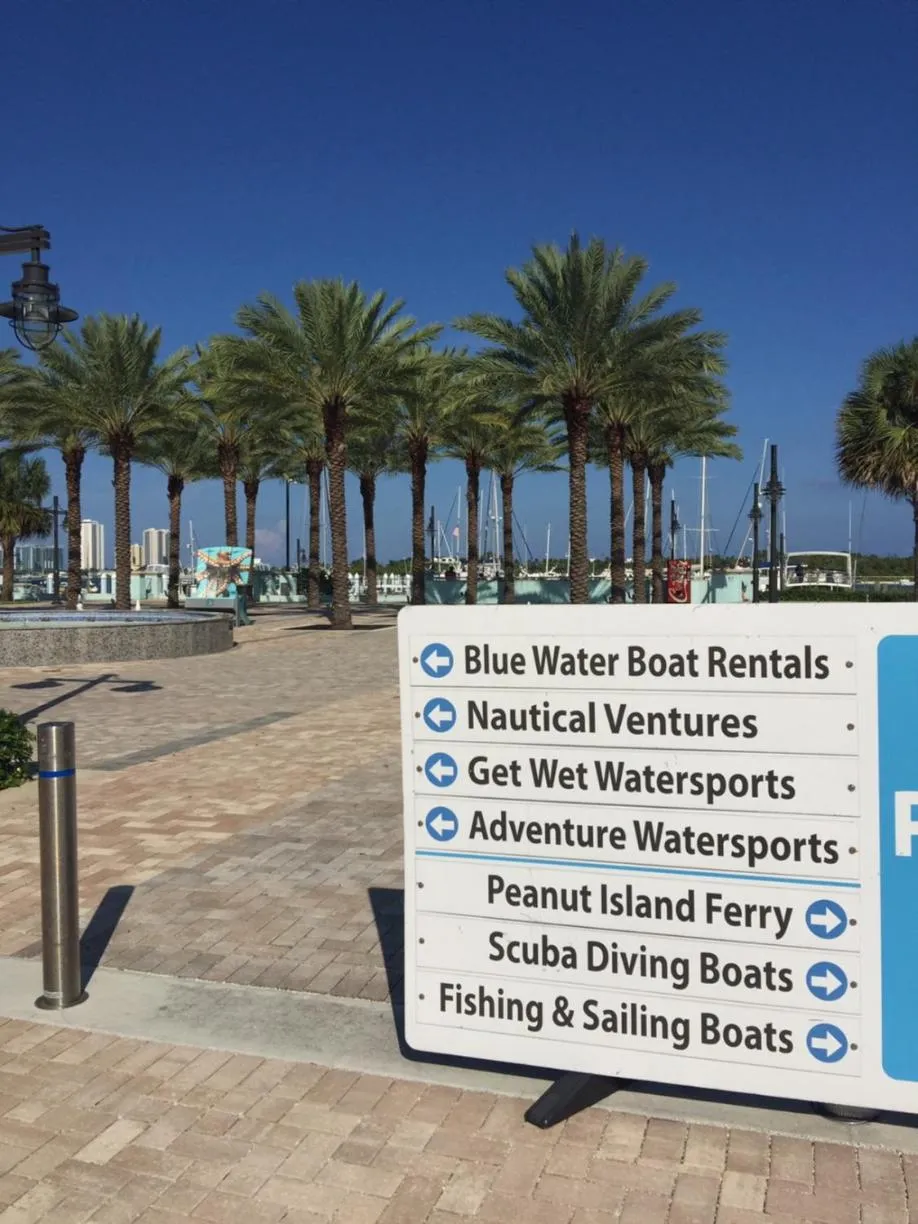 Diving in Palm Beach Mermaid