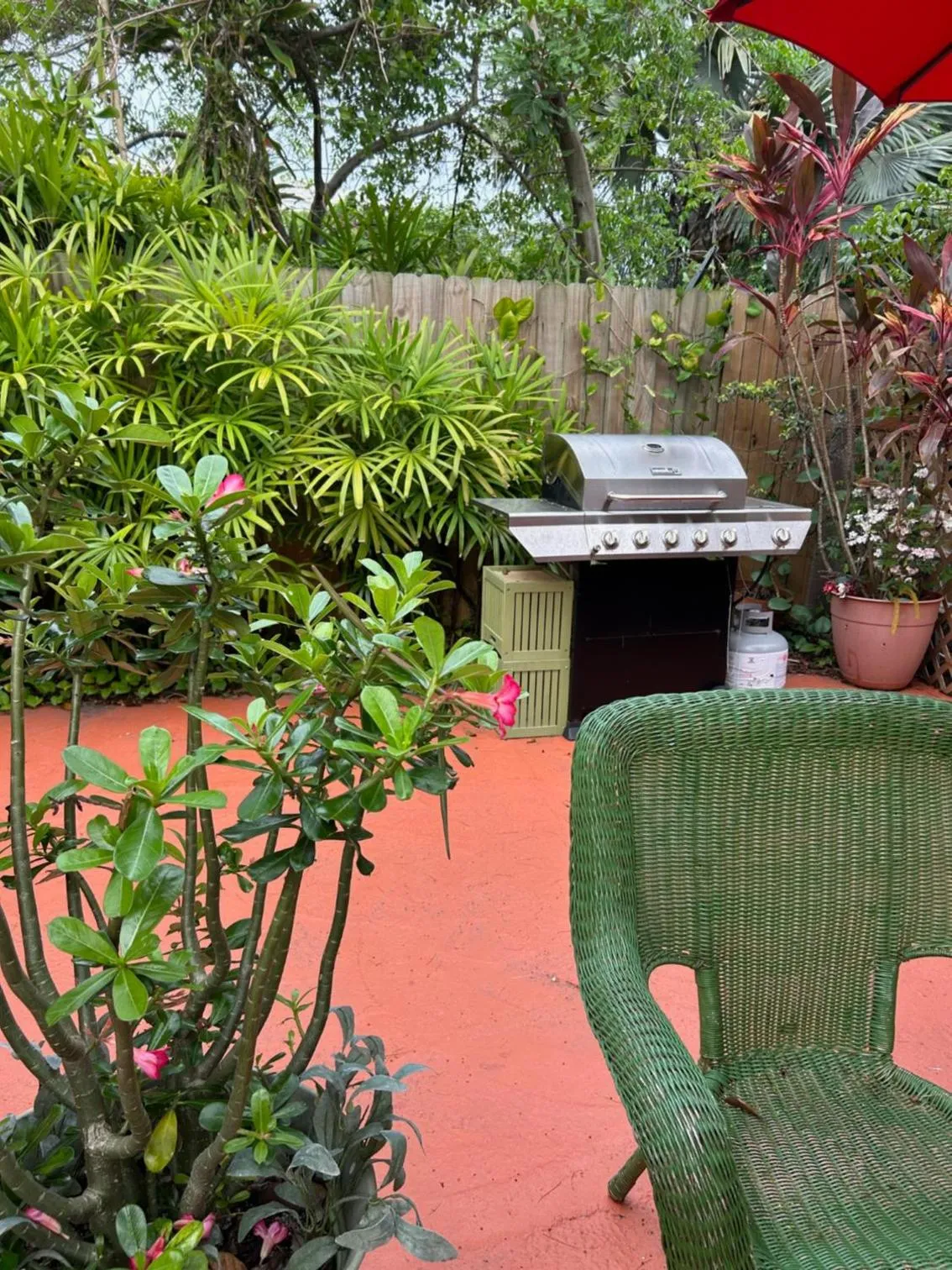 Patio in Palm Beach Mermaid