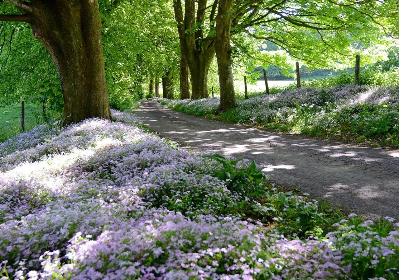 View (from property/room) in Craigadam Country House Hotel