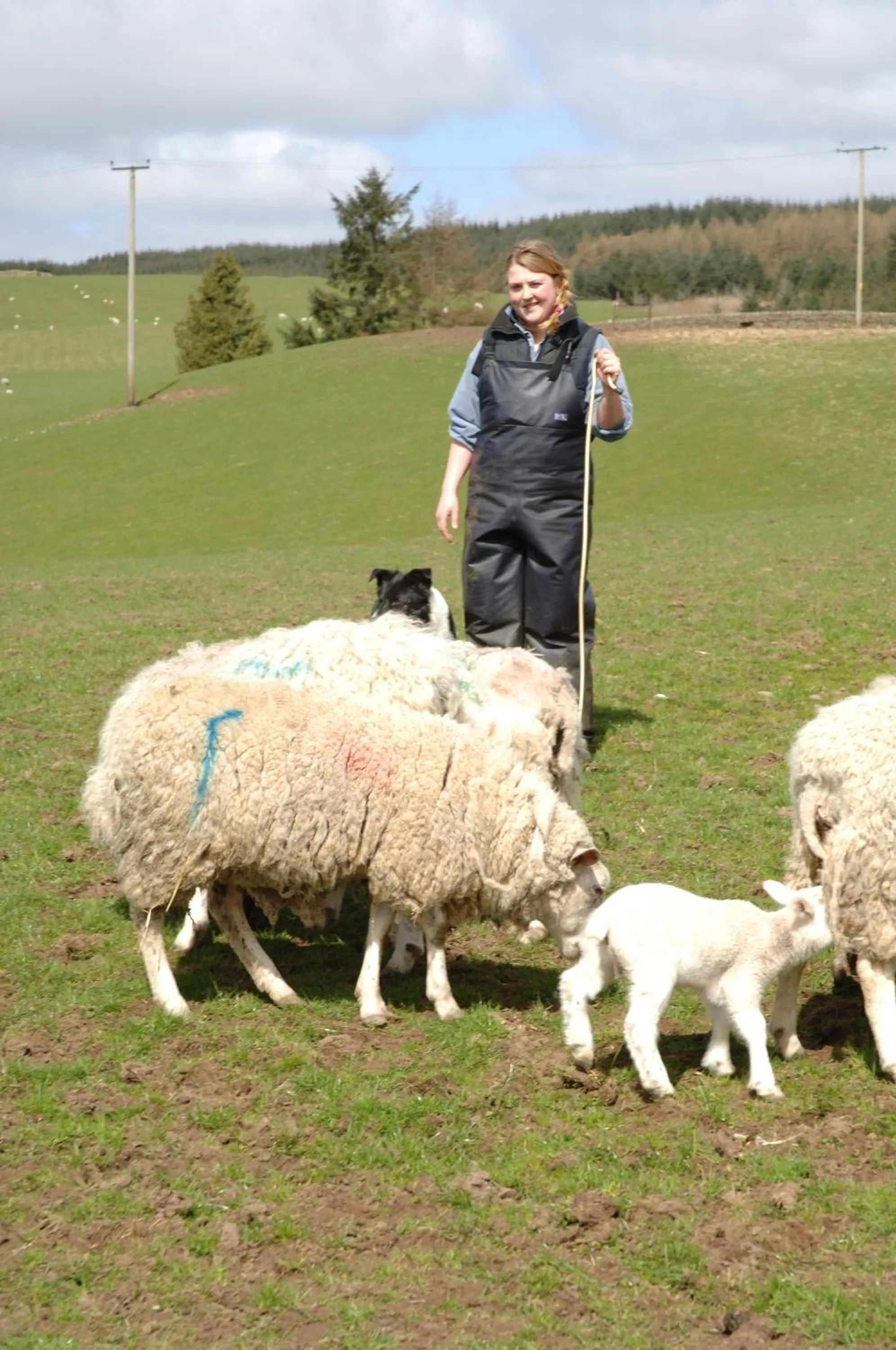 Other in Craigadam Country House Hotel