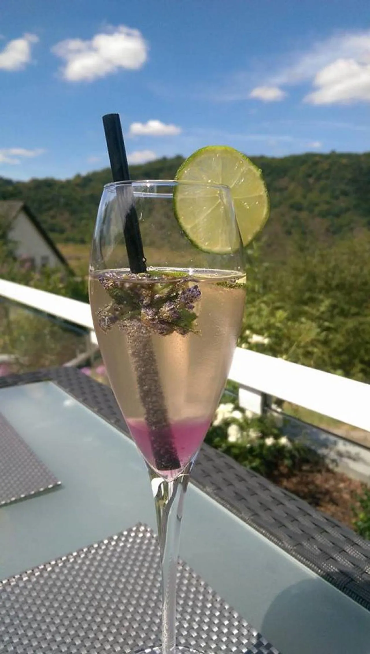 Alcoholic drinks in Hotel Hegenbarths