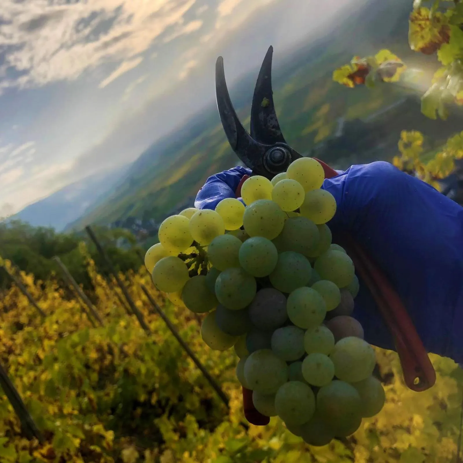 Hiking in Hotel Hegenbarths