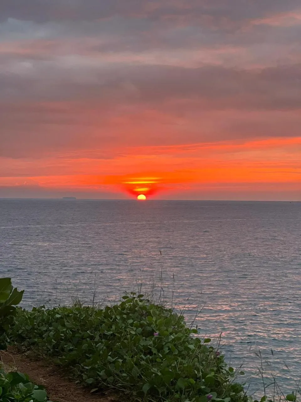 Natural landscape in One World Mirissa