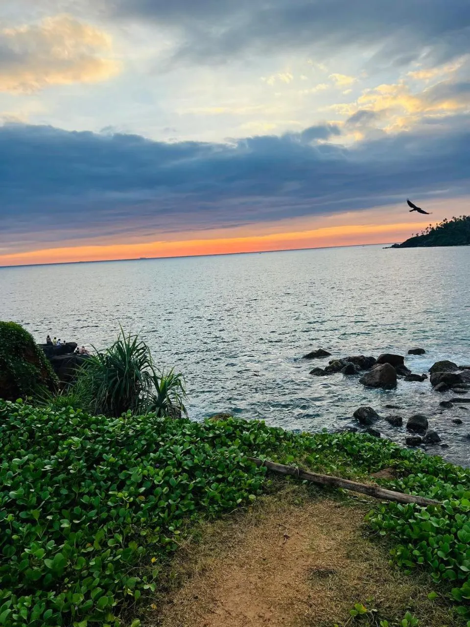 Natural landscape in One World Mirissa