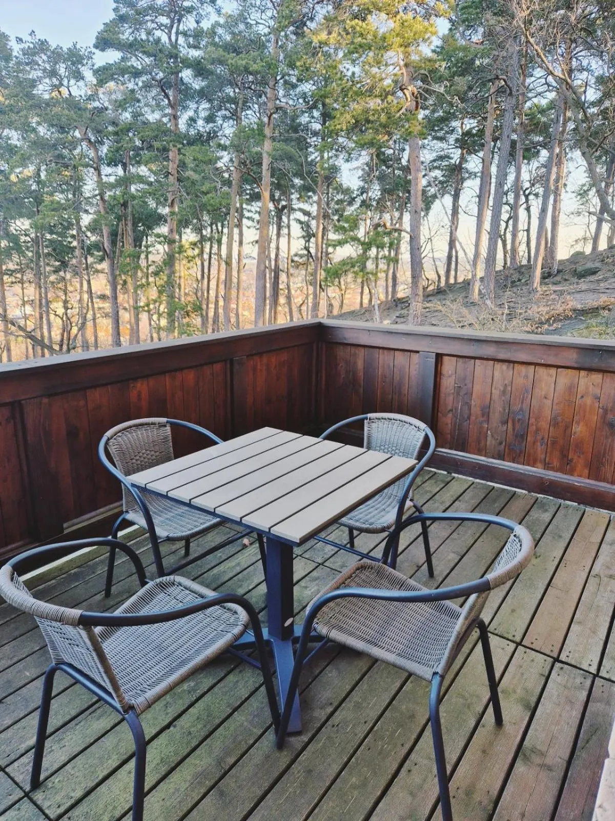 Balcony/Terrace in Hotel Villa Viktoria Luise