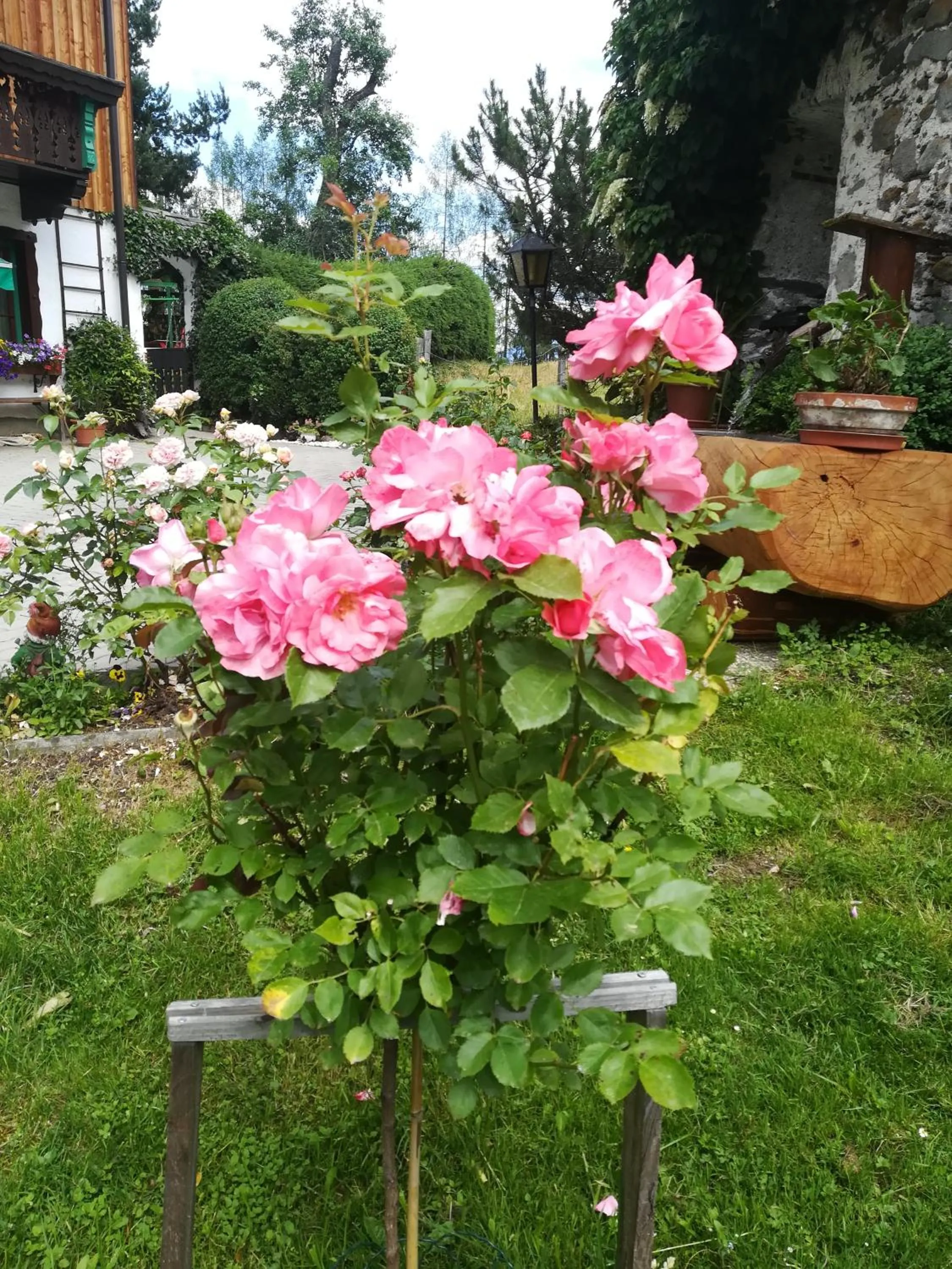 Mühlnerhof Familie Gruber