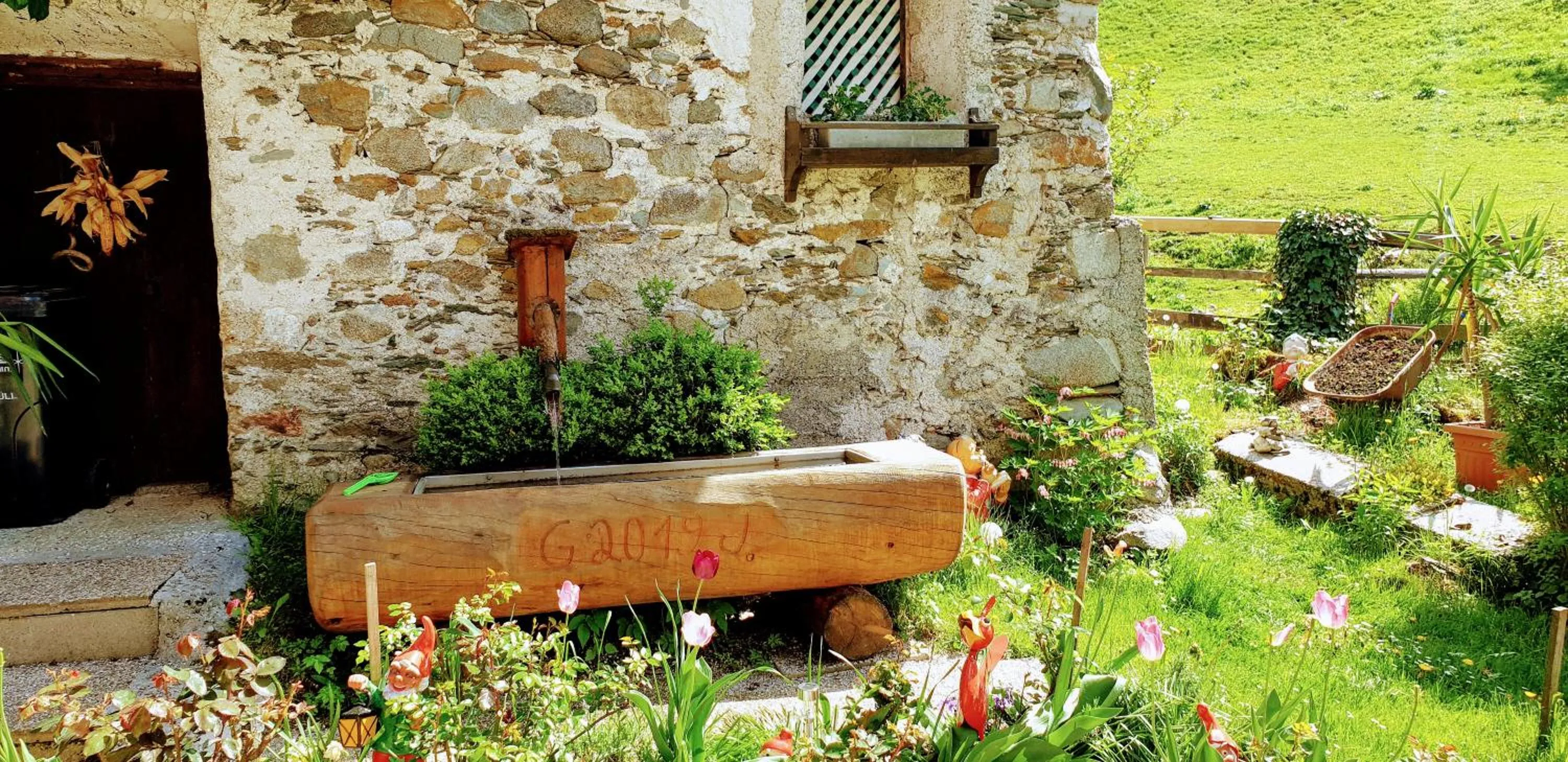 Mühlnerhof Familie Gruber