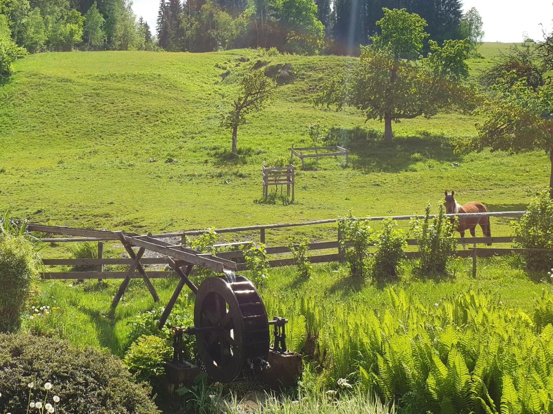 Mühlnerhof Familie Gruber