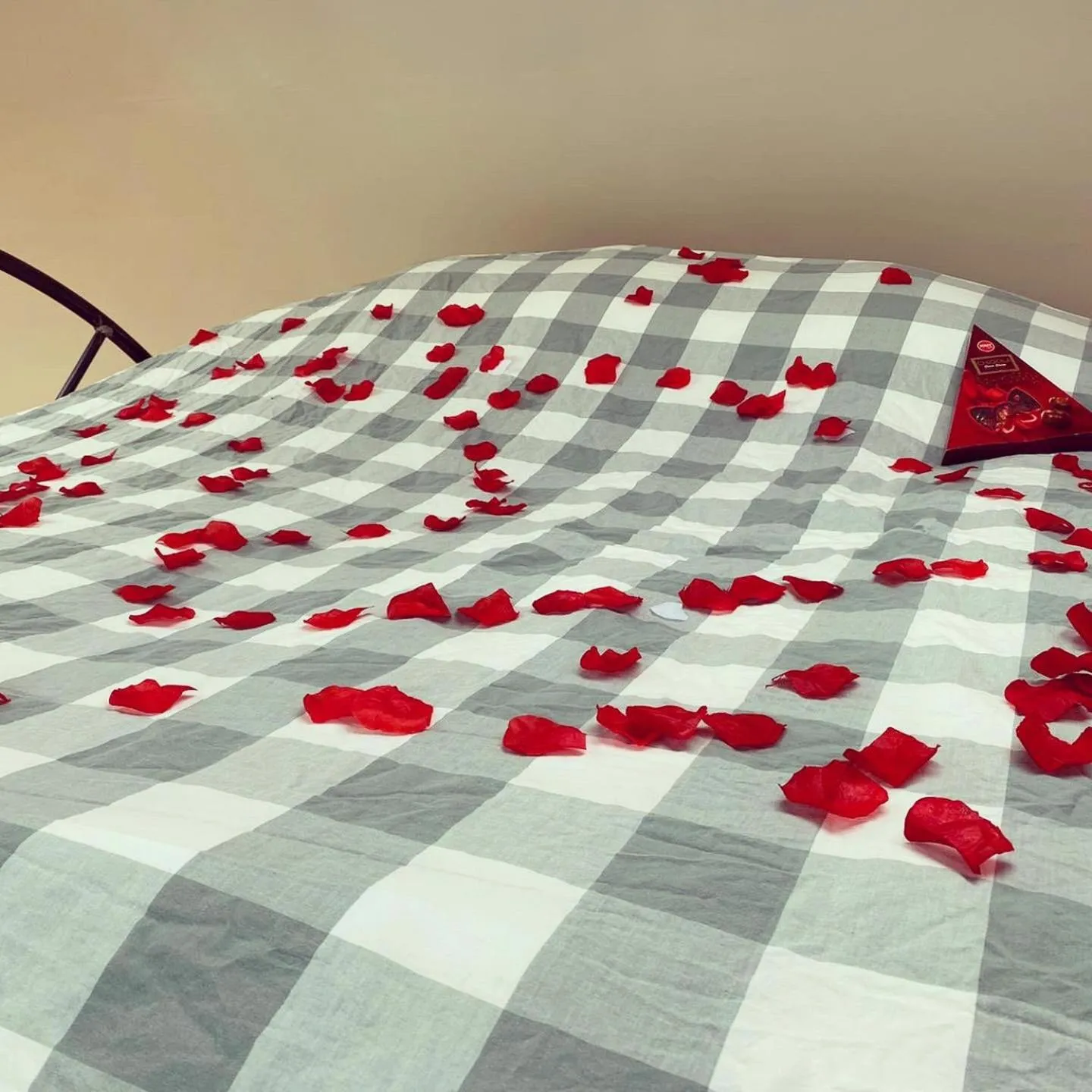 Bed in B&B Houseboat Amsterdam