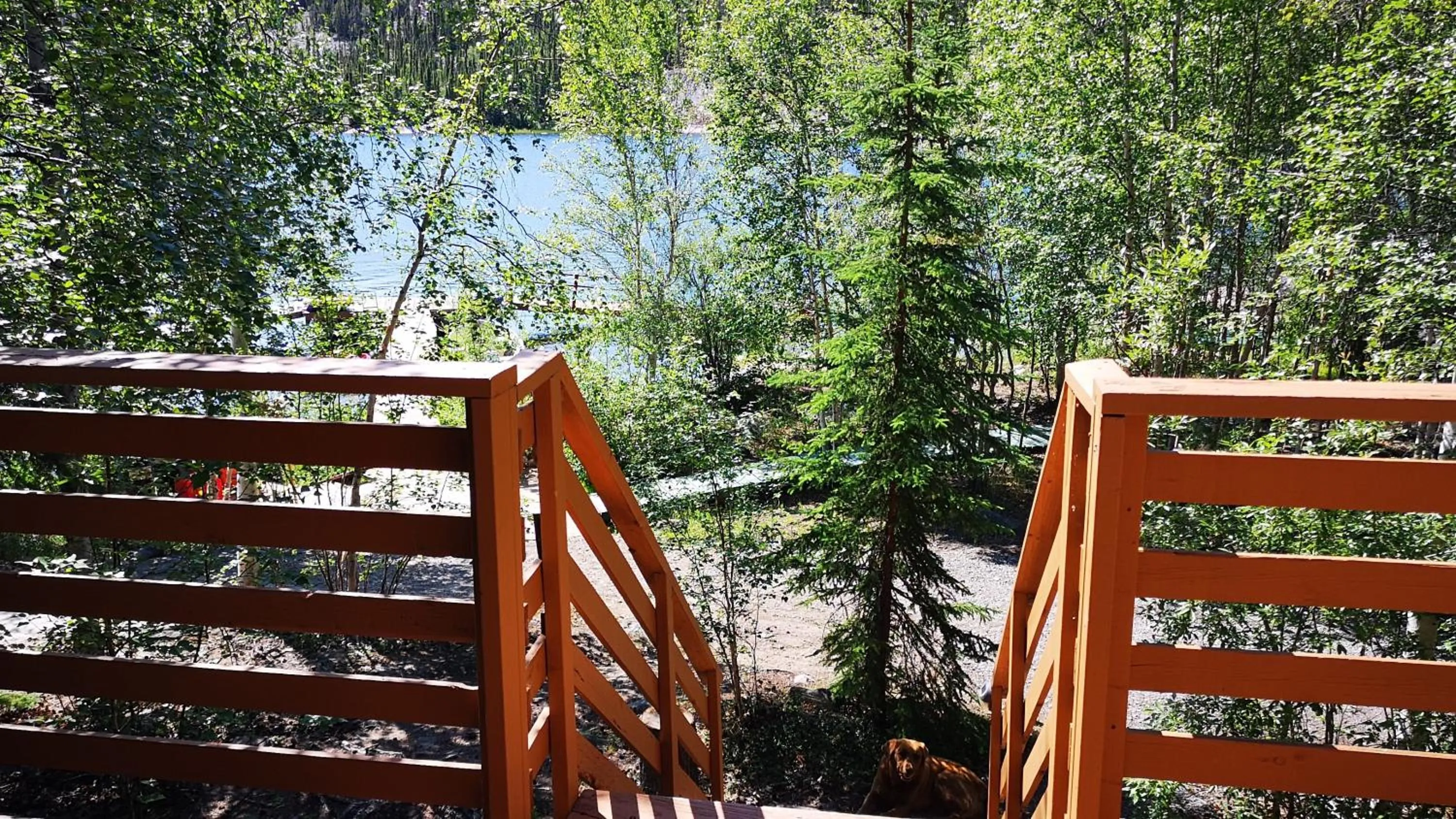 Balcony/Terrace in Yellow Dog Lodge, Inc.