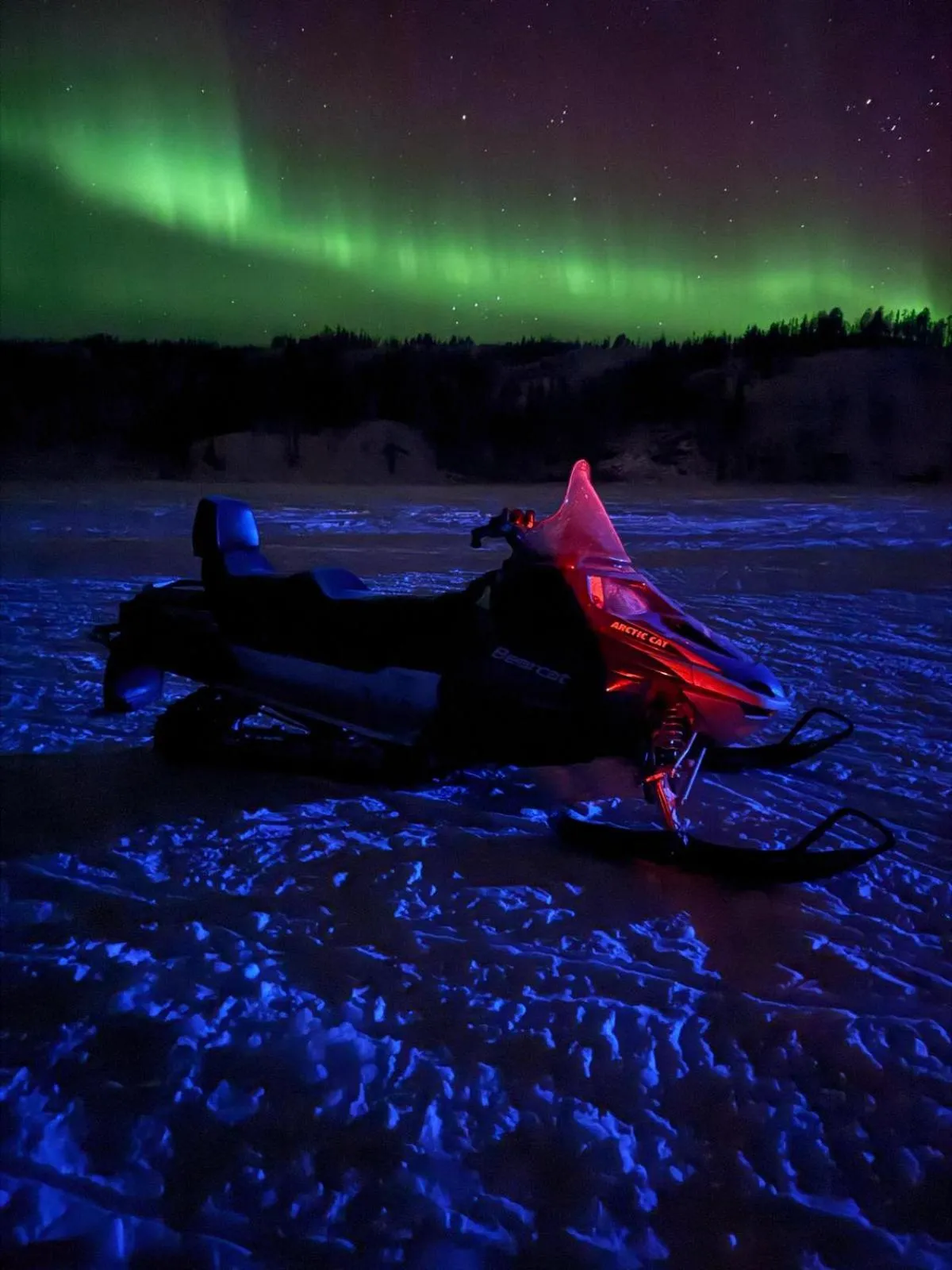 Night in Yellow Dog Lodge, Inc.