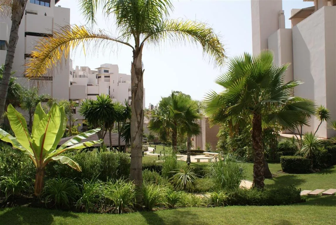 Garden in Bahía Boutique Apartments