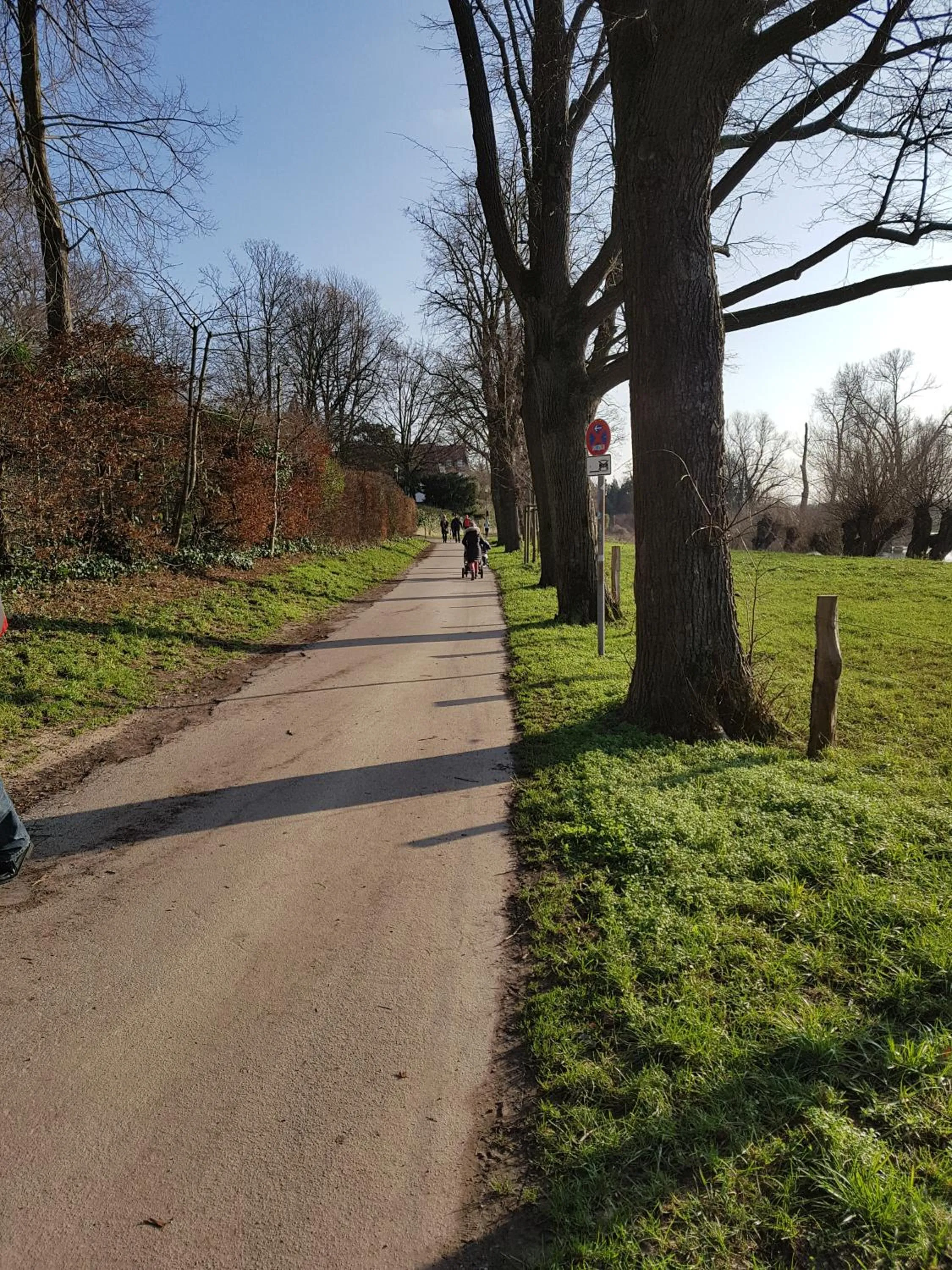 Natural landscape in Hotel Villa Verde