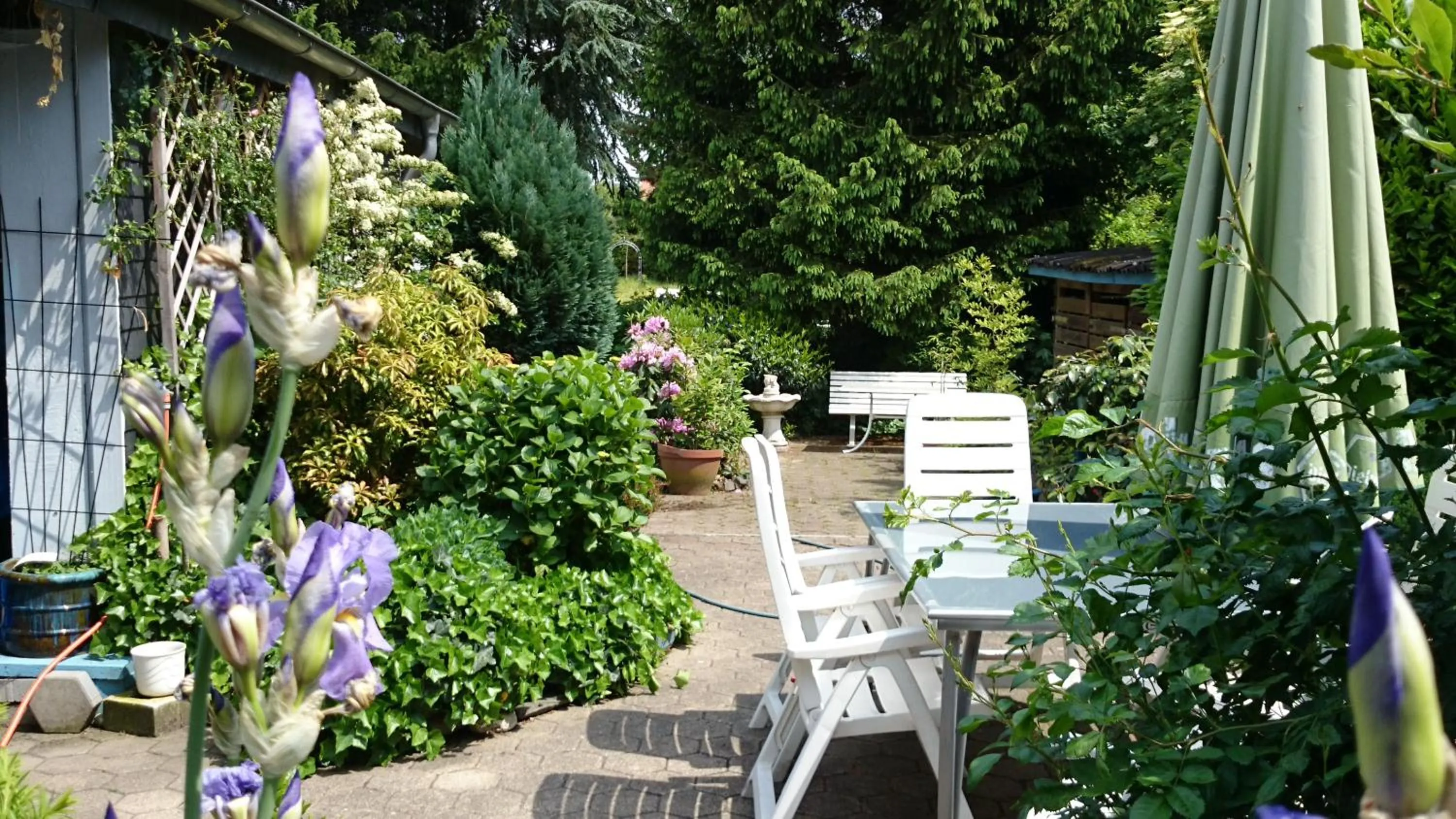 Garden view in Hotel Villa Verde