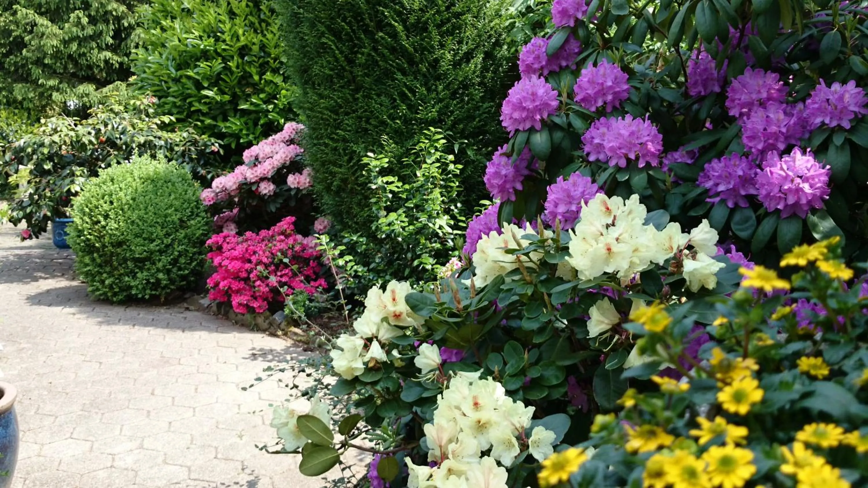 Garden in Hotel Villa Verde