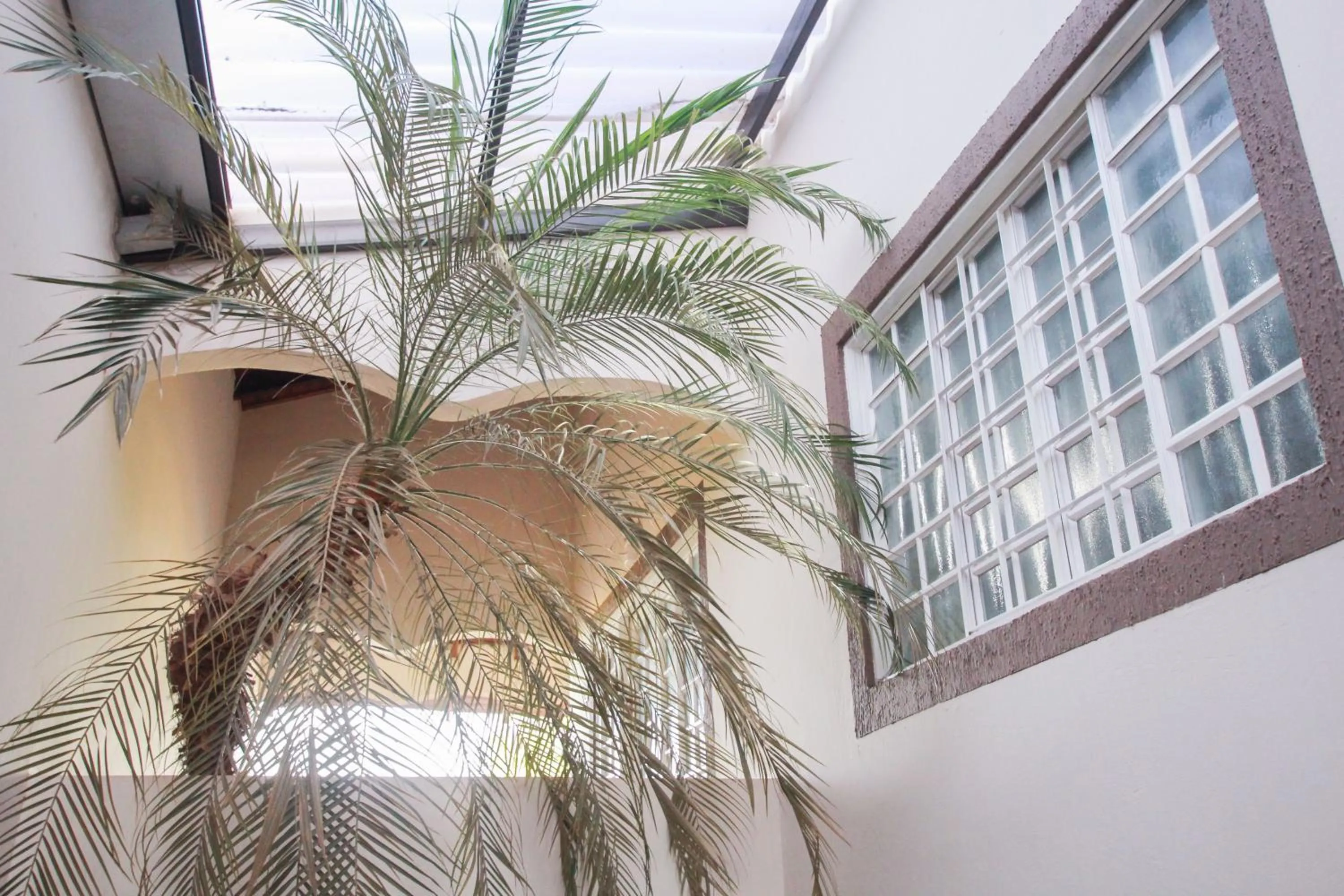 Patio in Ypê Flats e Containers