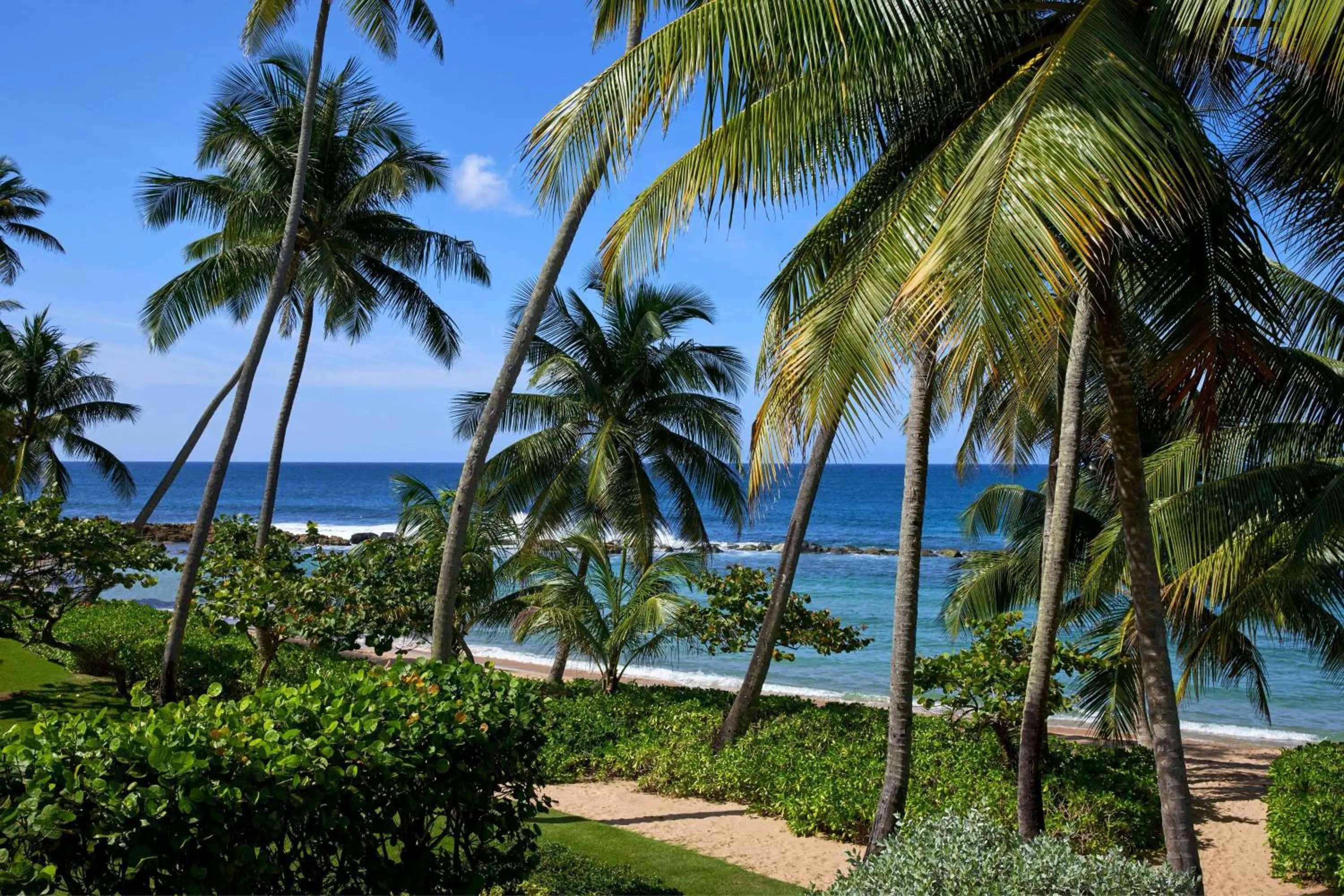 Photo of the whole room in Dorado Beach, a Ritz-Carlton Reserve