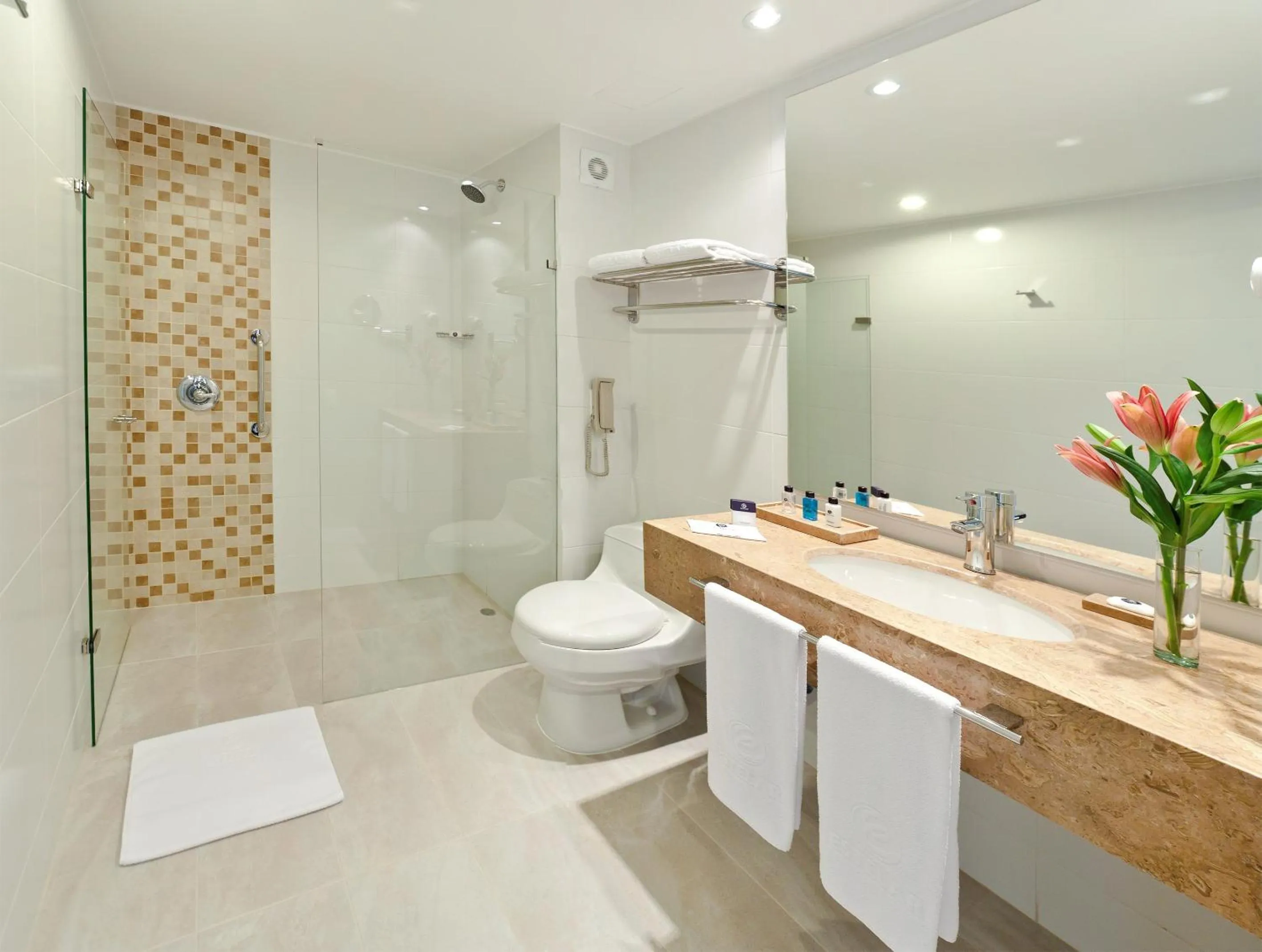 Bathroom in Hotel Estelar Calle 100