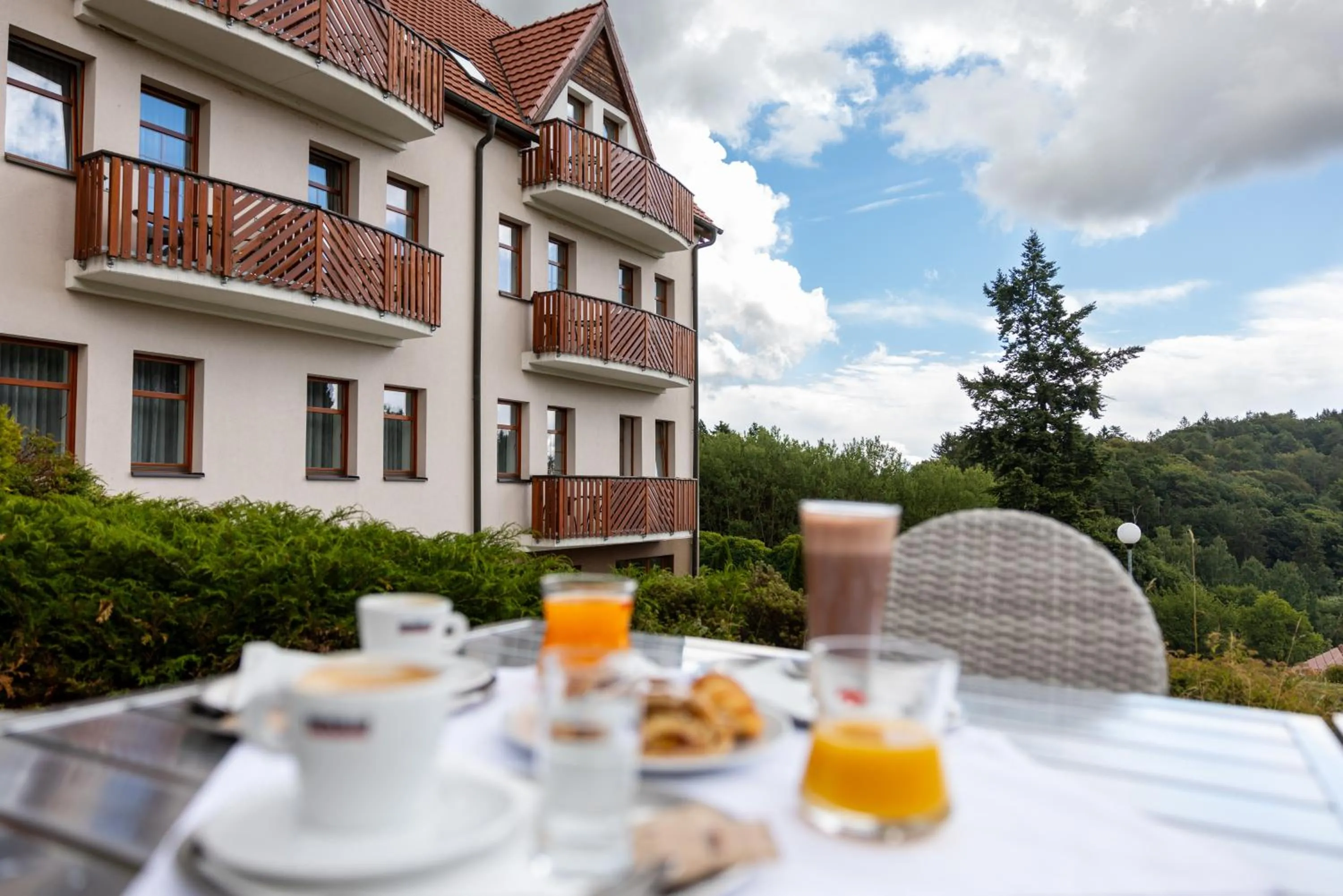 Breakfast in Pytloun Wellness Hotel Hasištejn