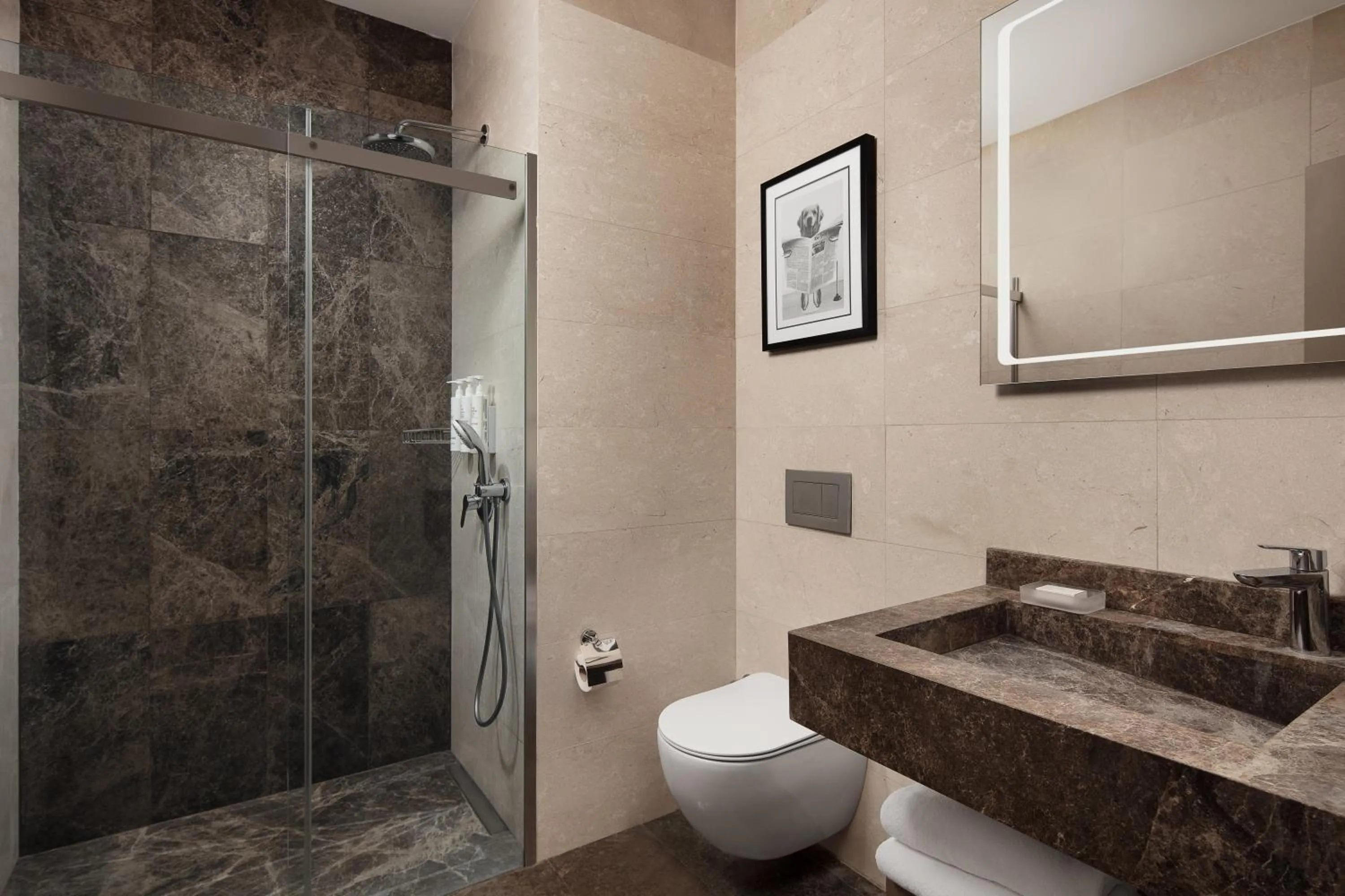Shower in Delta Hotels by Marriott Istanbul Vadi