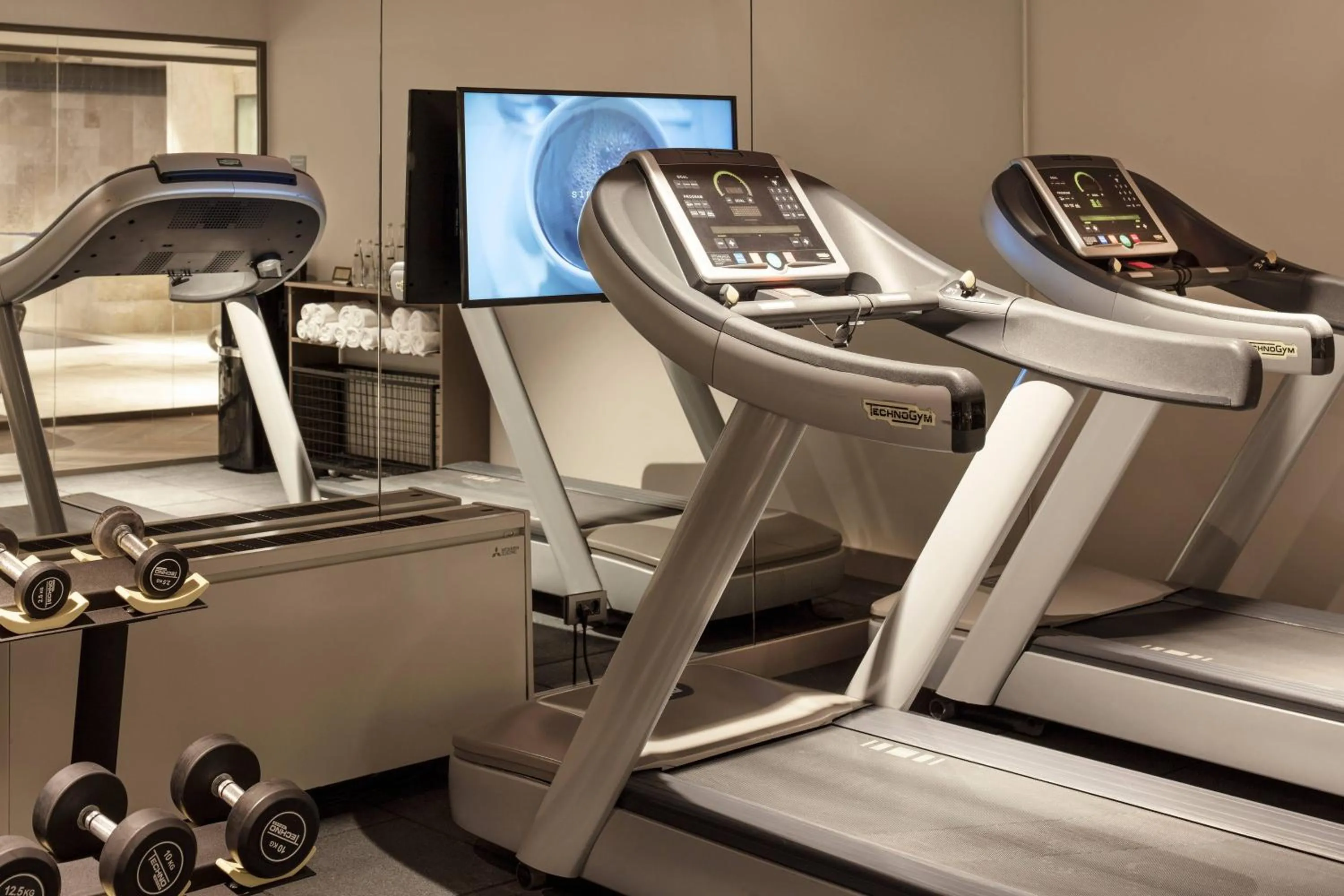 Fitness centre/facilities in Delta Hotels by Marriott Istanbul Vadi