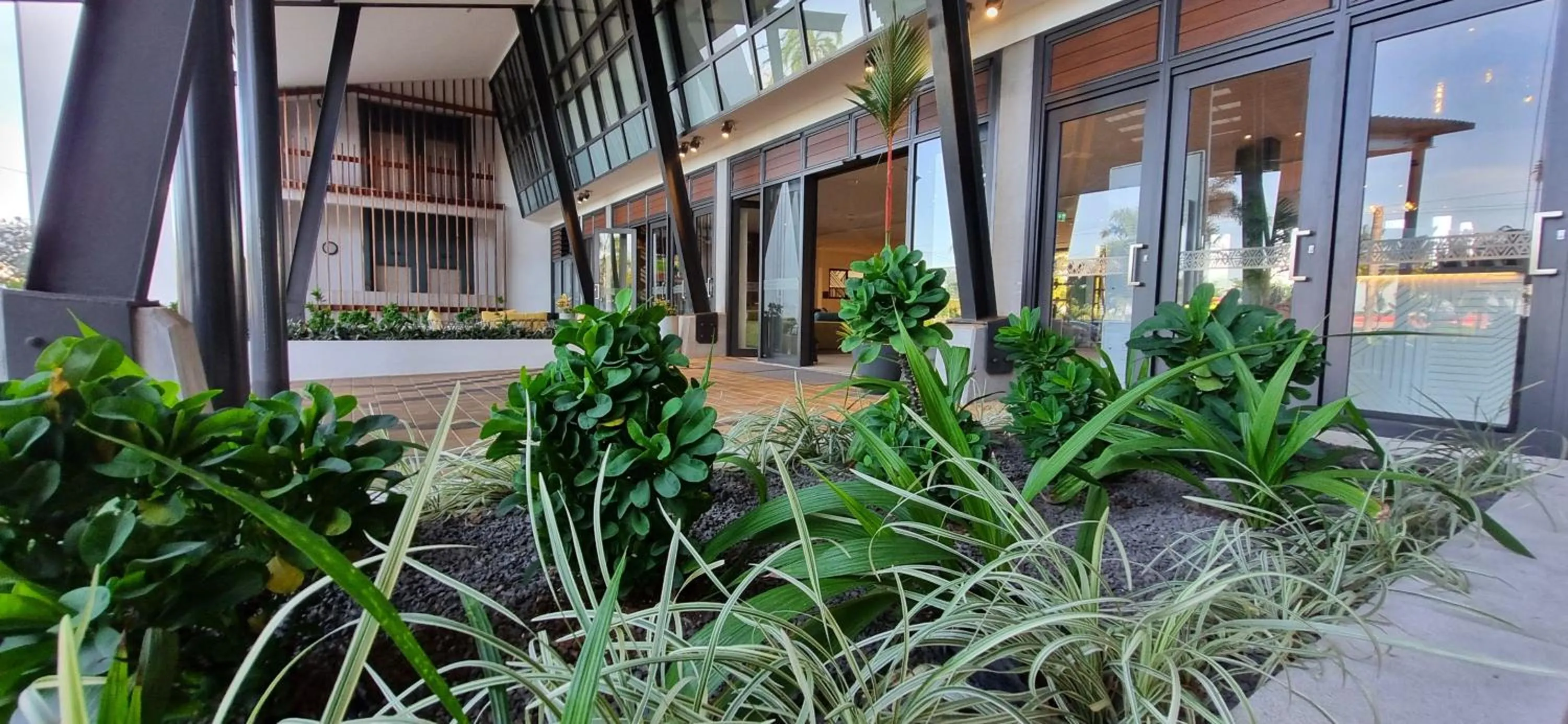 Garden in Lava Hotel