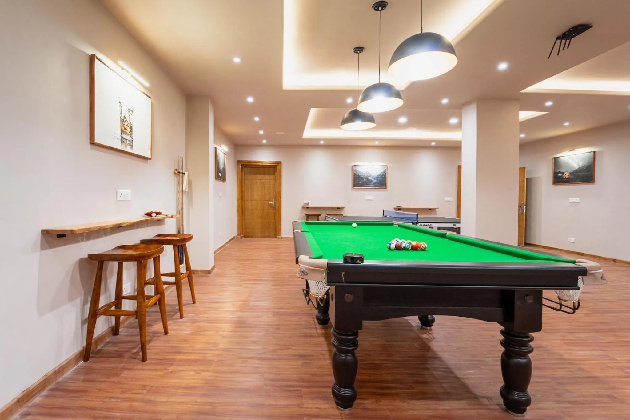 Billiard in The Bodhi Tree Ladakh