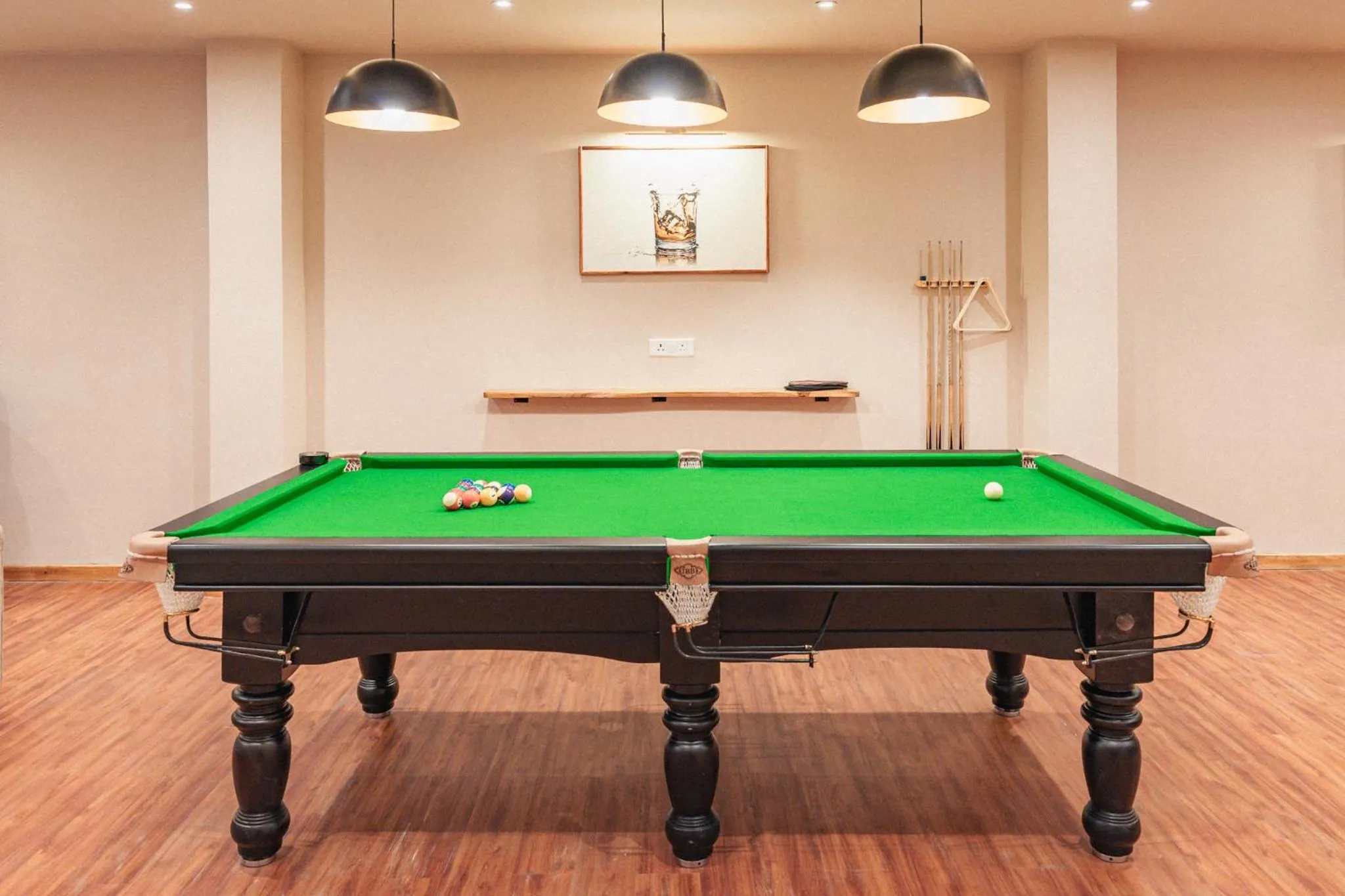 Billiard in The Bodhi Tree Ladakh