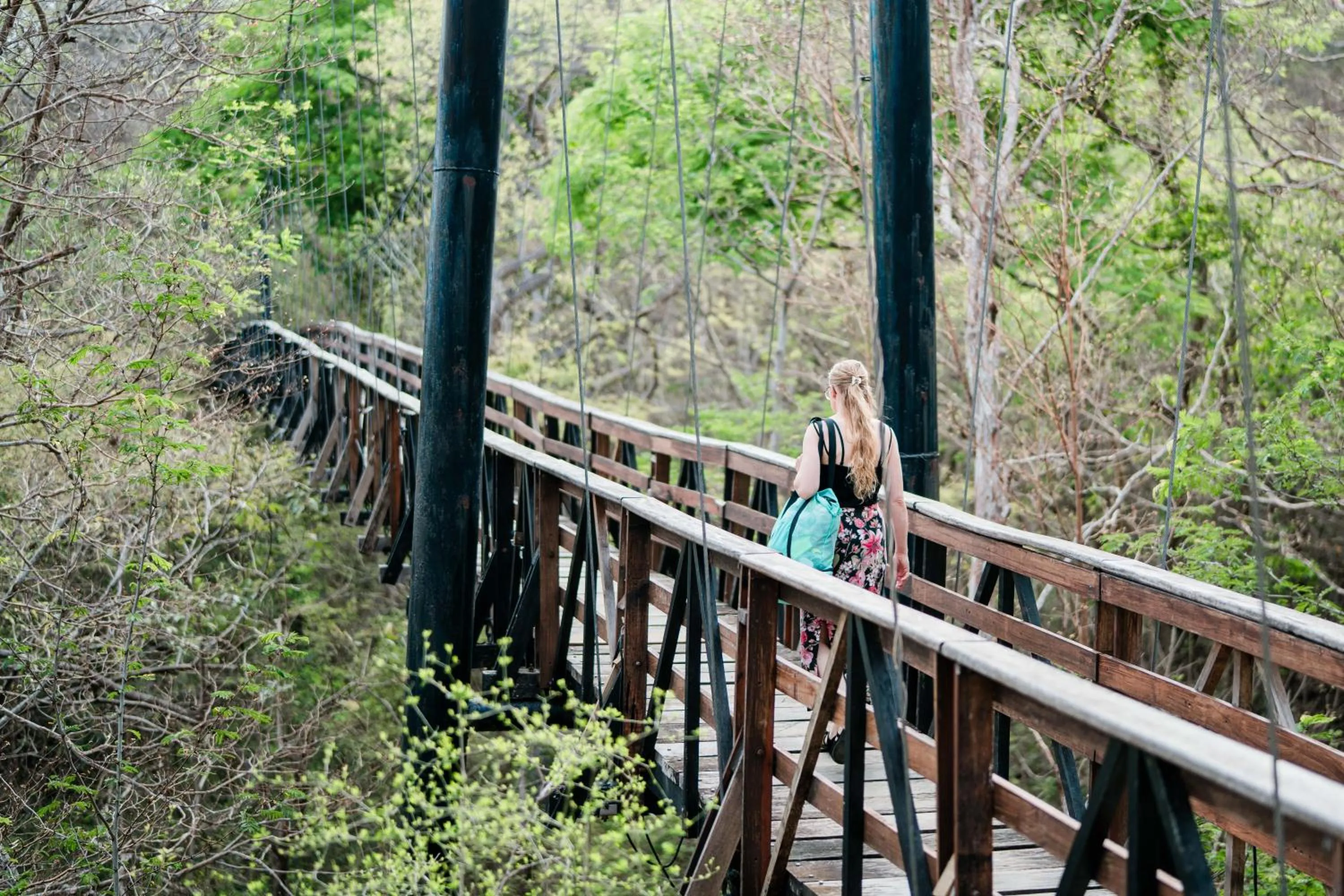 Natural landscape in Morgan's Rock Reserve & Ecolodge