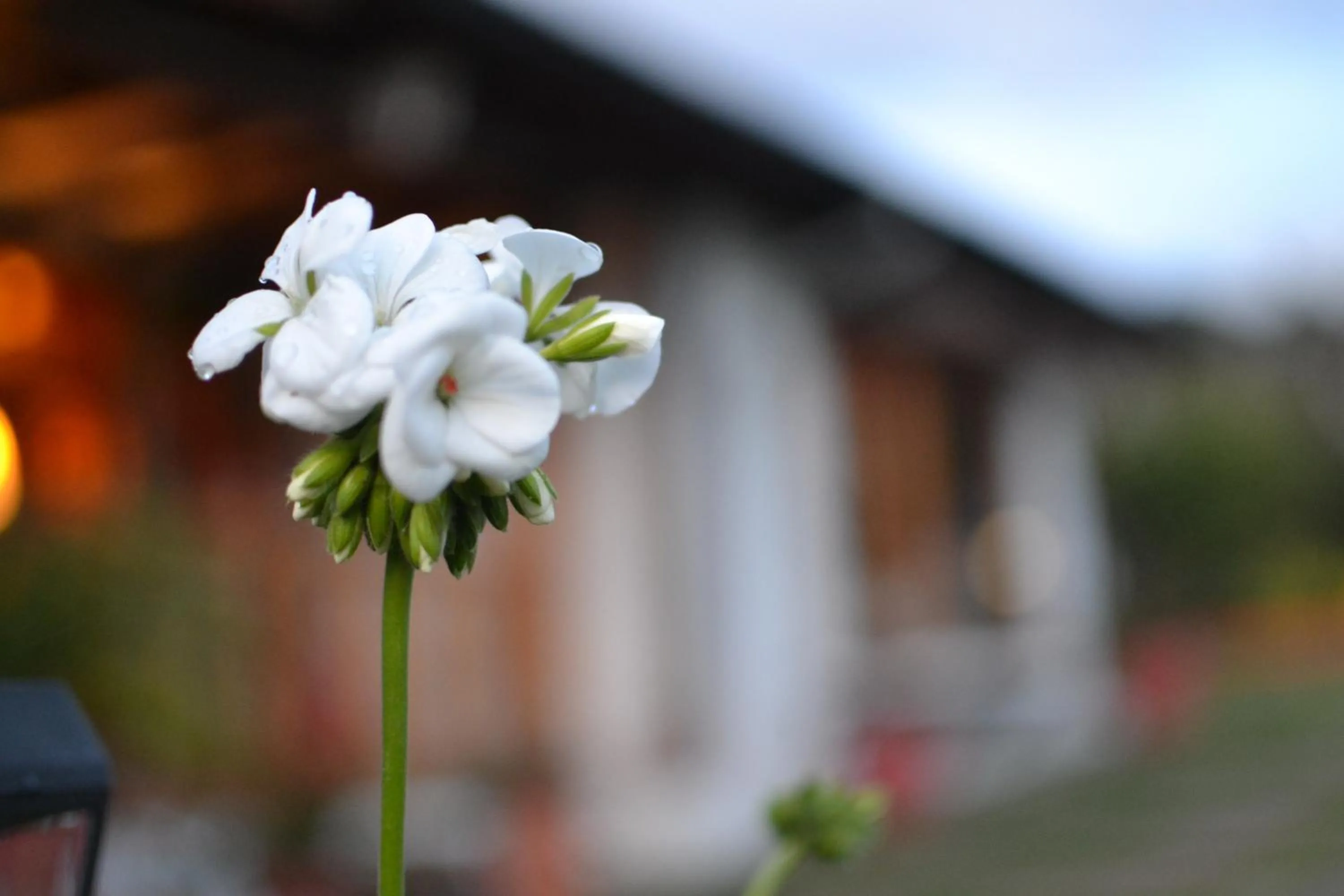 Sunrise in Casa d'Campo Tababela Hotel Boutique