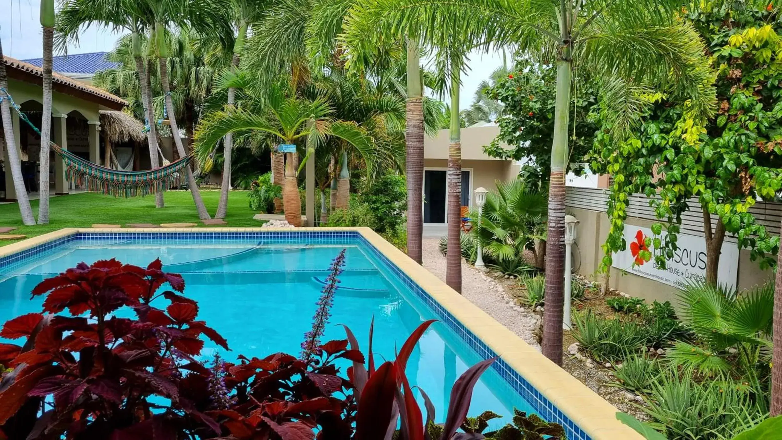 Hibiscus Beach House Hibiscus Beach House