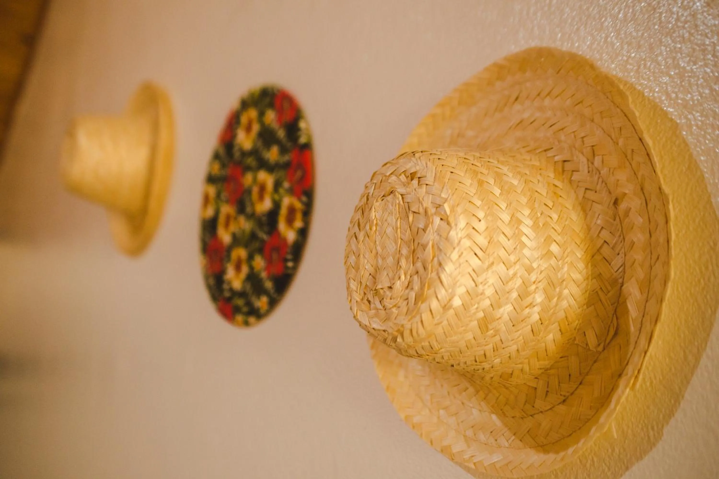 Decorative detail in Pousada Cipó Prata