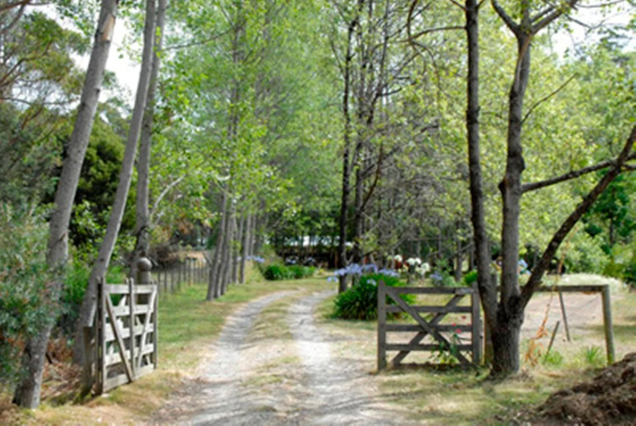 Birdwing Bed and Breakfast Weegena